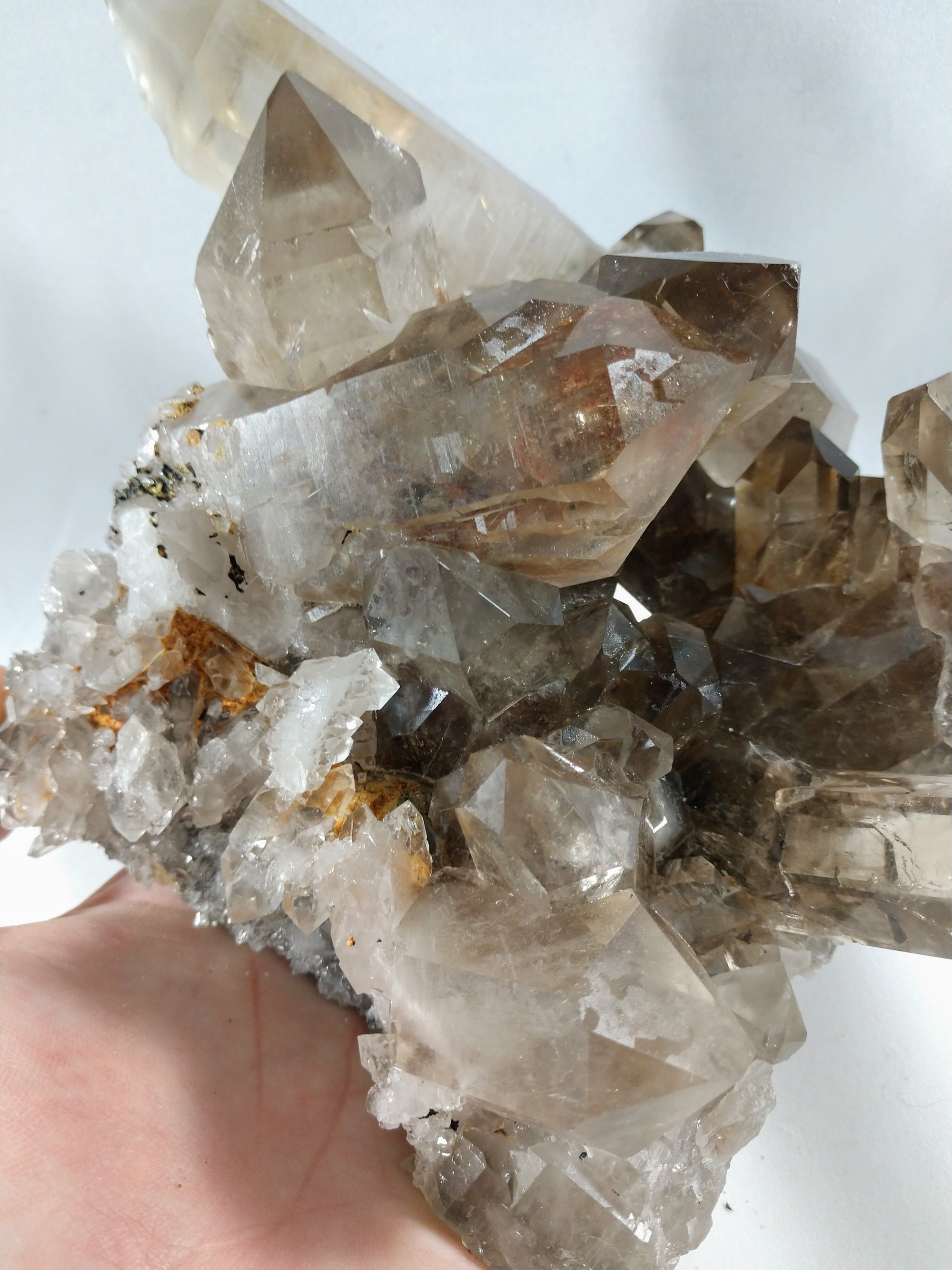 Smoky Quartz Cluster