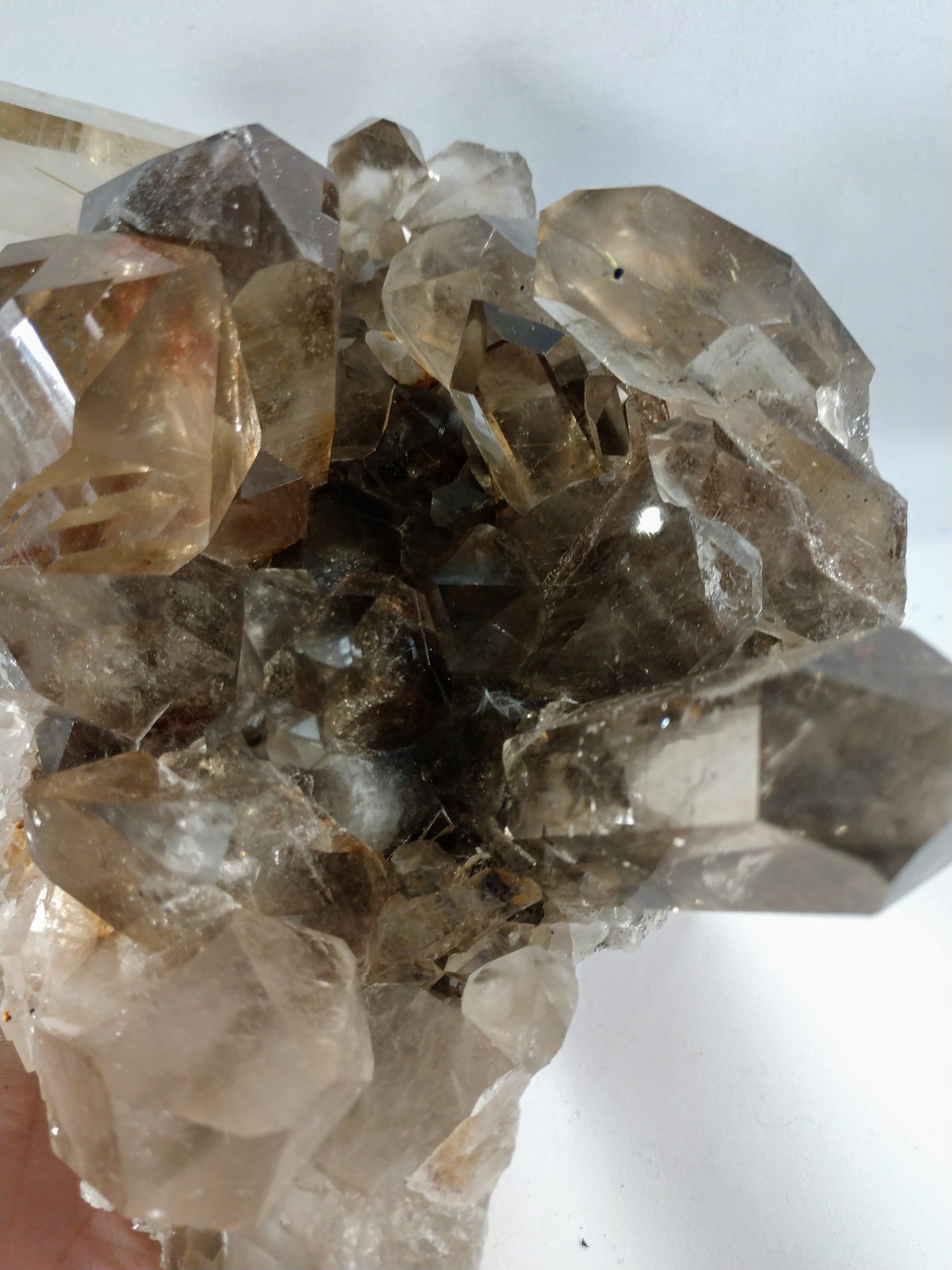 Smoky Quartz Cluster