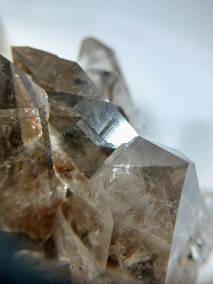 Smoky Quartz Cluster