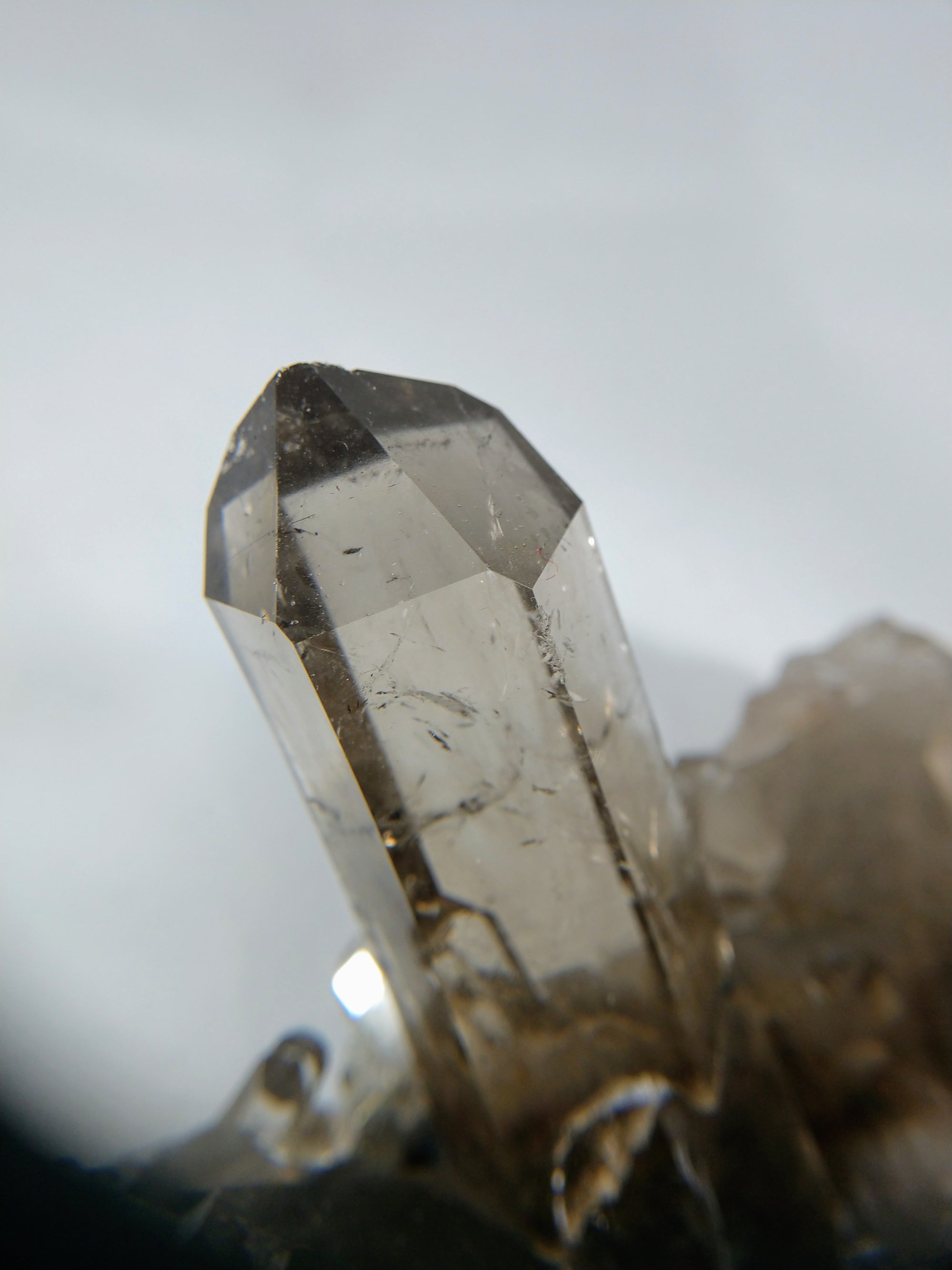 Smoky Quartz Cluster