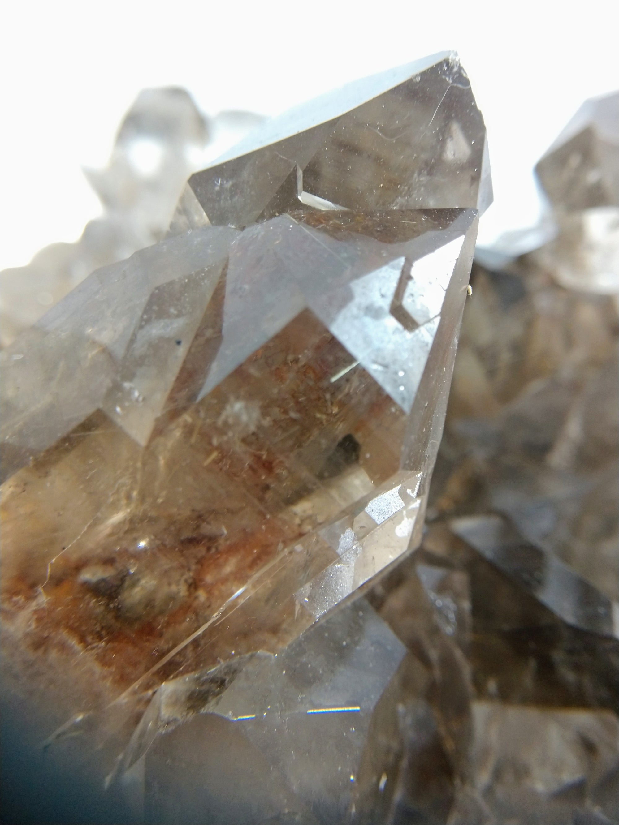 Smoky Quartz Cluster