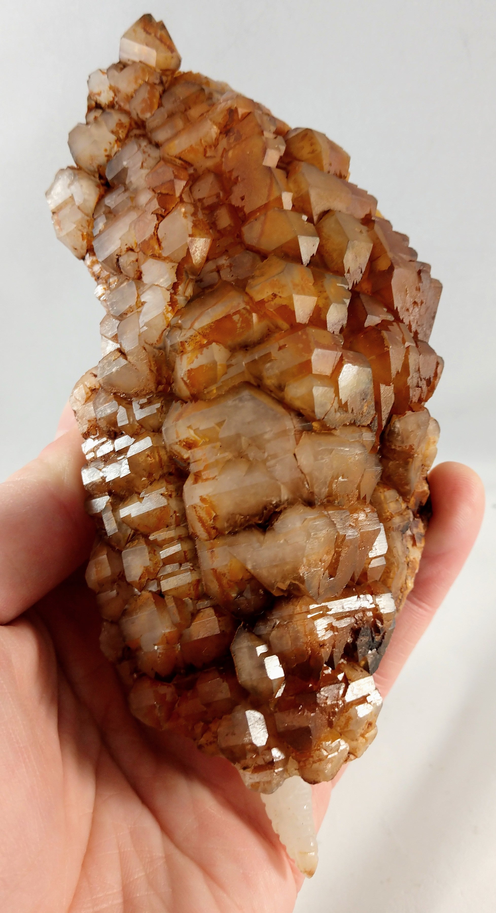 Quartz Armadillo with Elestial Shell