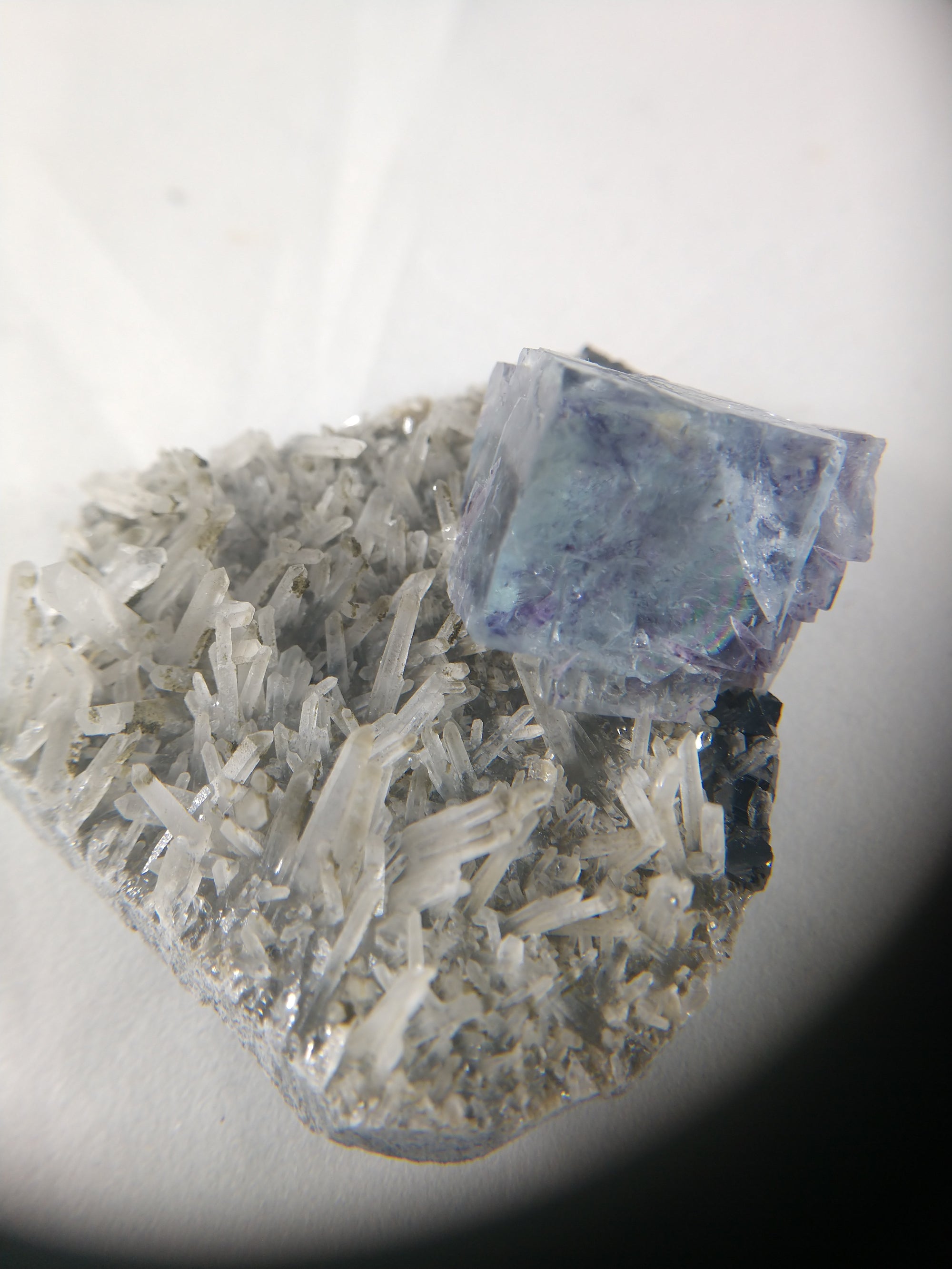 Fluorite on Quartz