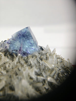 Fluorite on Quartz