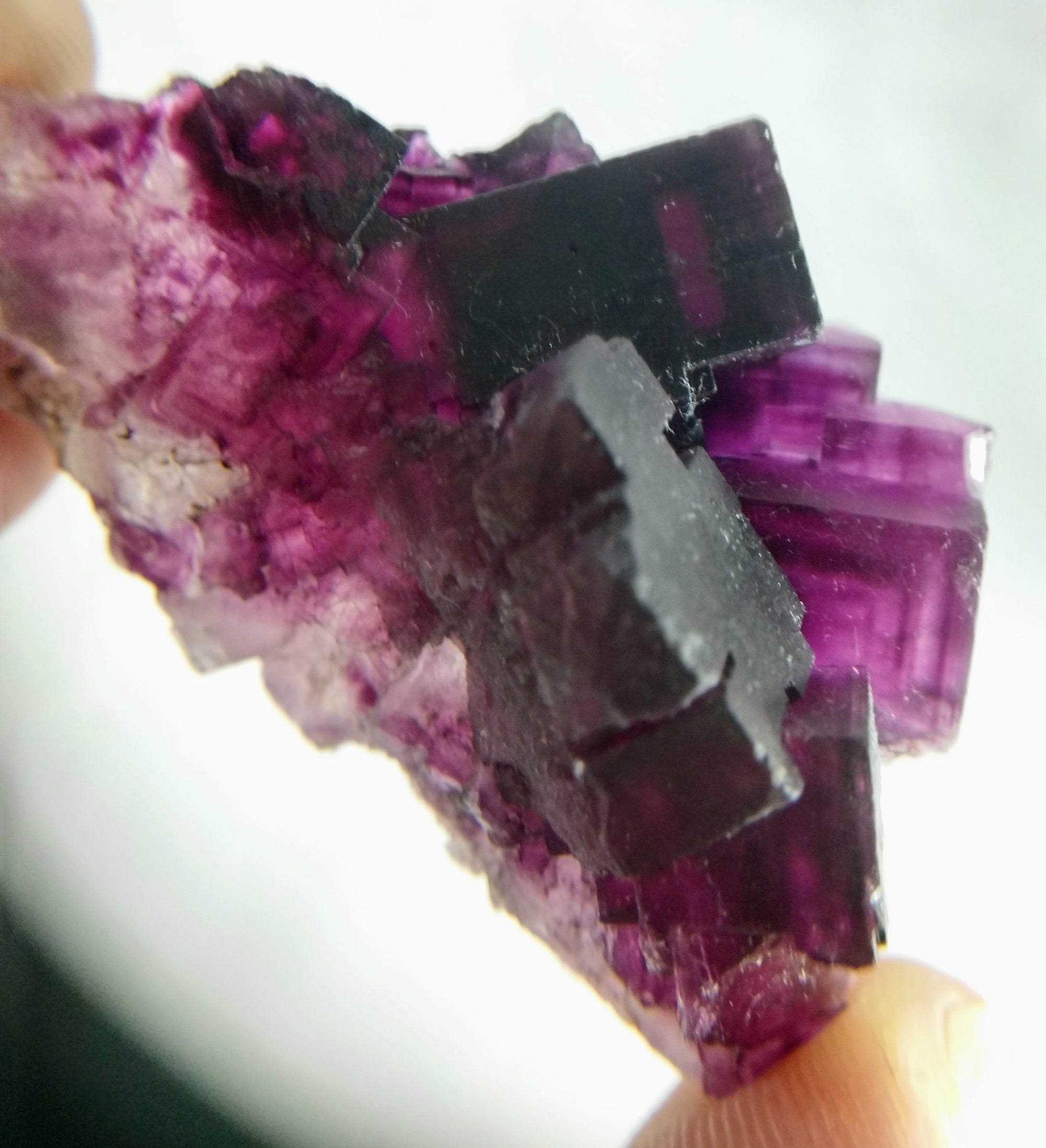 Fluorite, Cave-In-Rock, IL