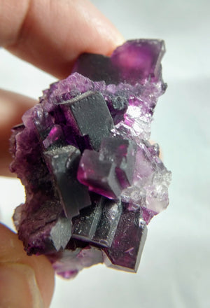 Fluorite, Cave-In-Rock, IL