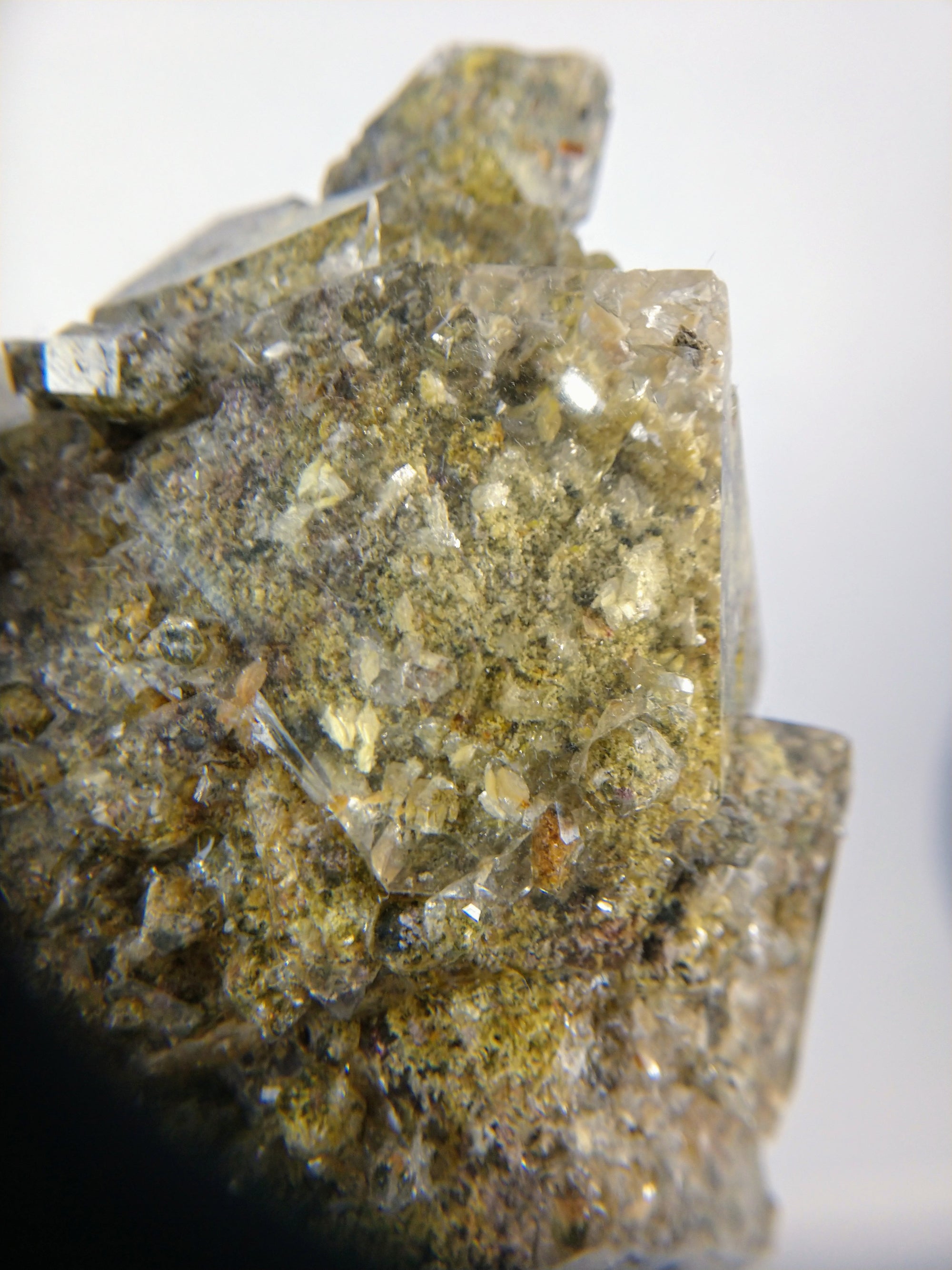 Lodolite (Quartz w/ Chlorite), Brasil