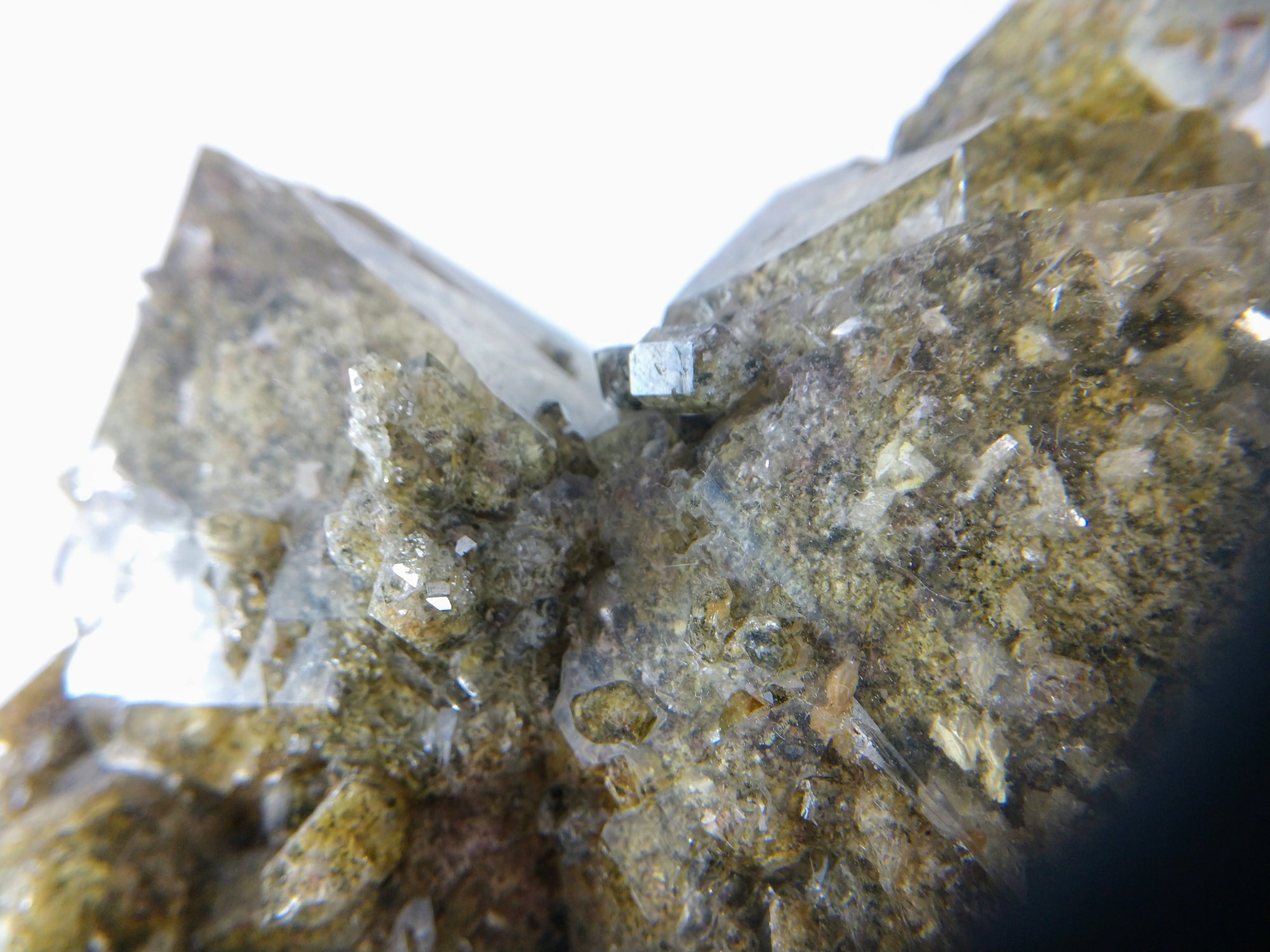 Lodolite (Quartz w/ Chlorite), Brasil