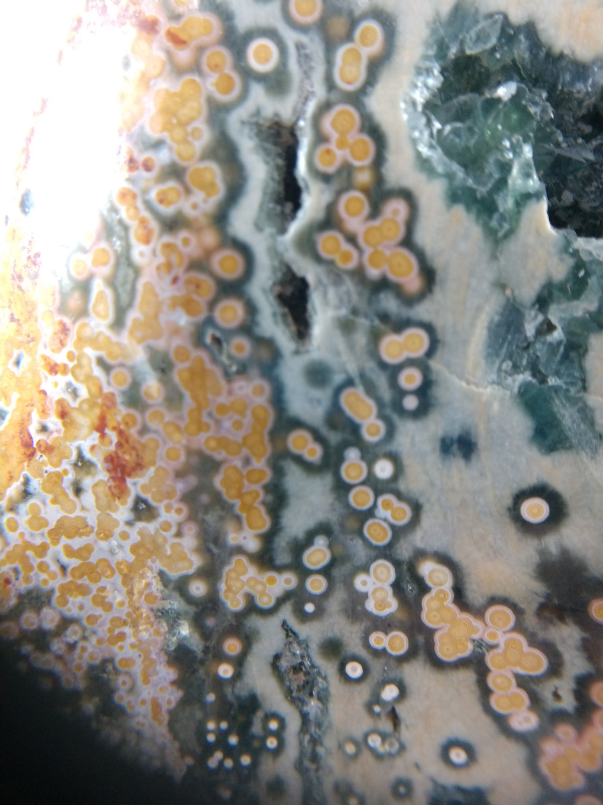 Ocean Jasper Free Form, 7 lbs