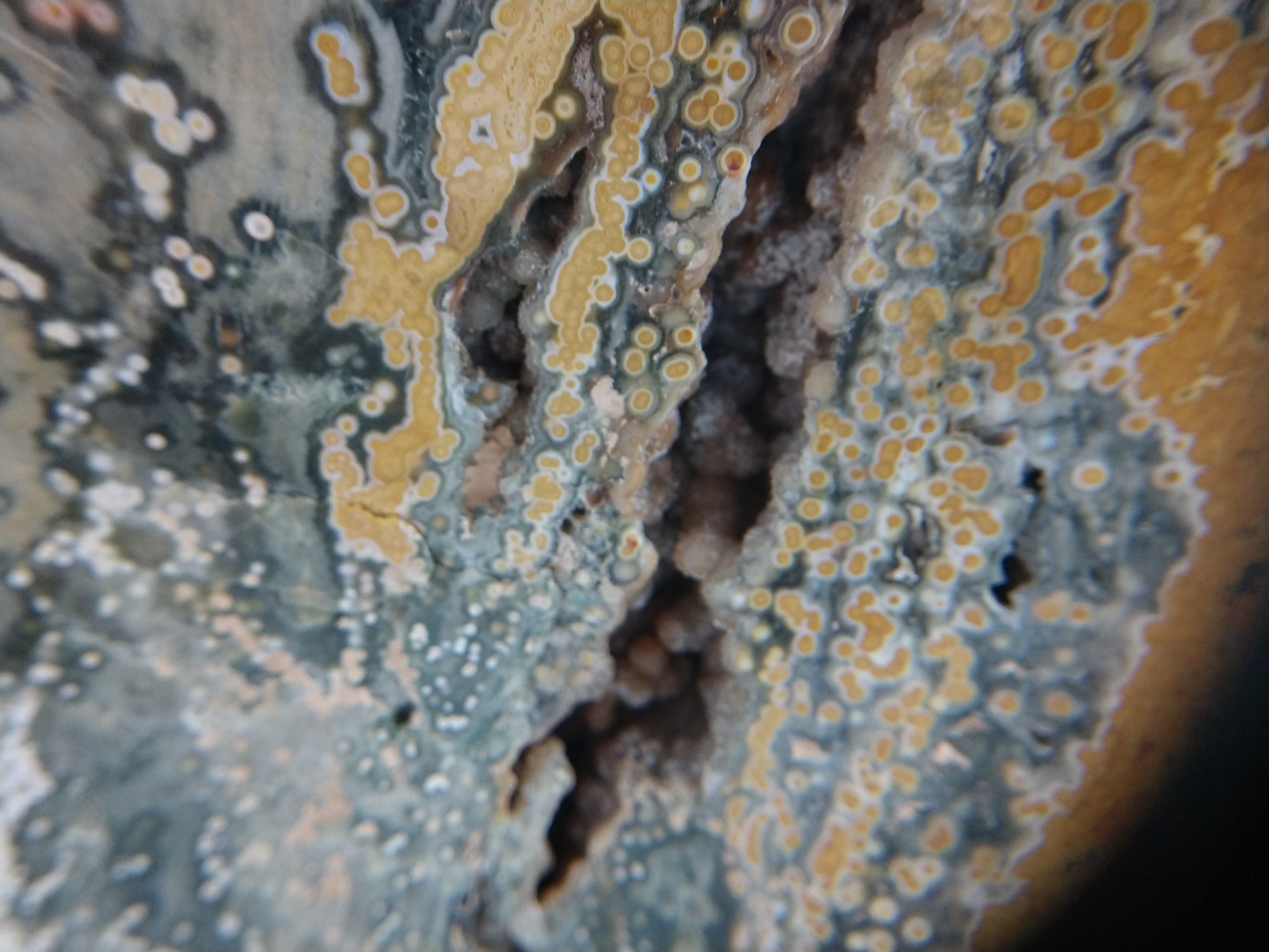 Ocean Jasper Free Form, 7 lbs