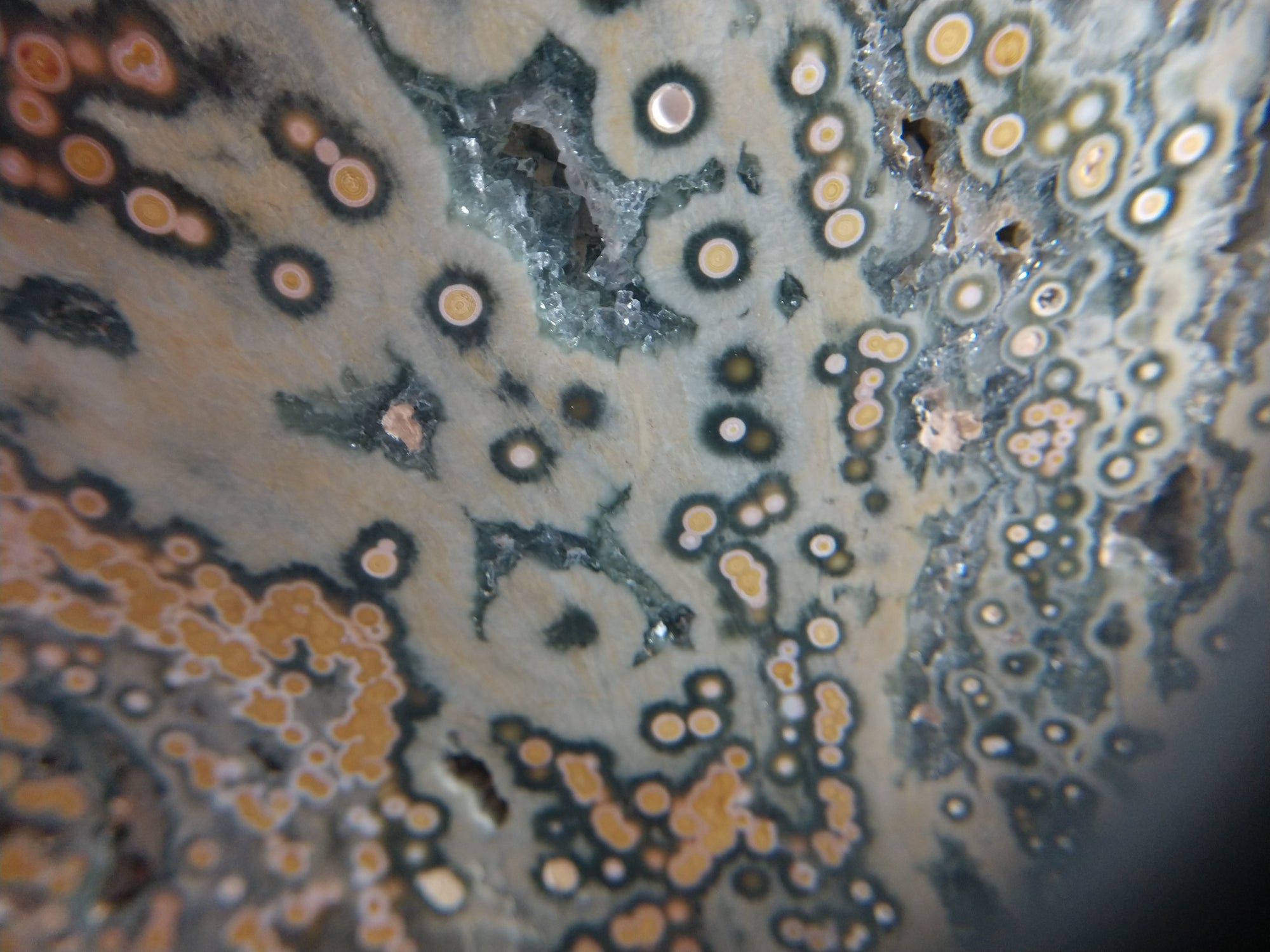 Ocean Jasper Free Form, 7 lbs