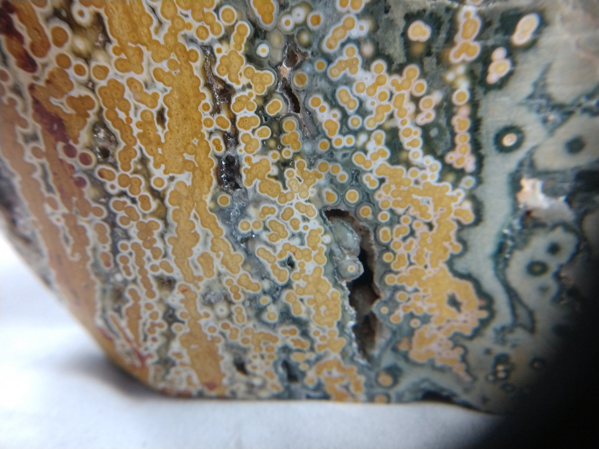 Ocean Jasper Free Form, 7 lbs