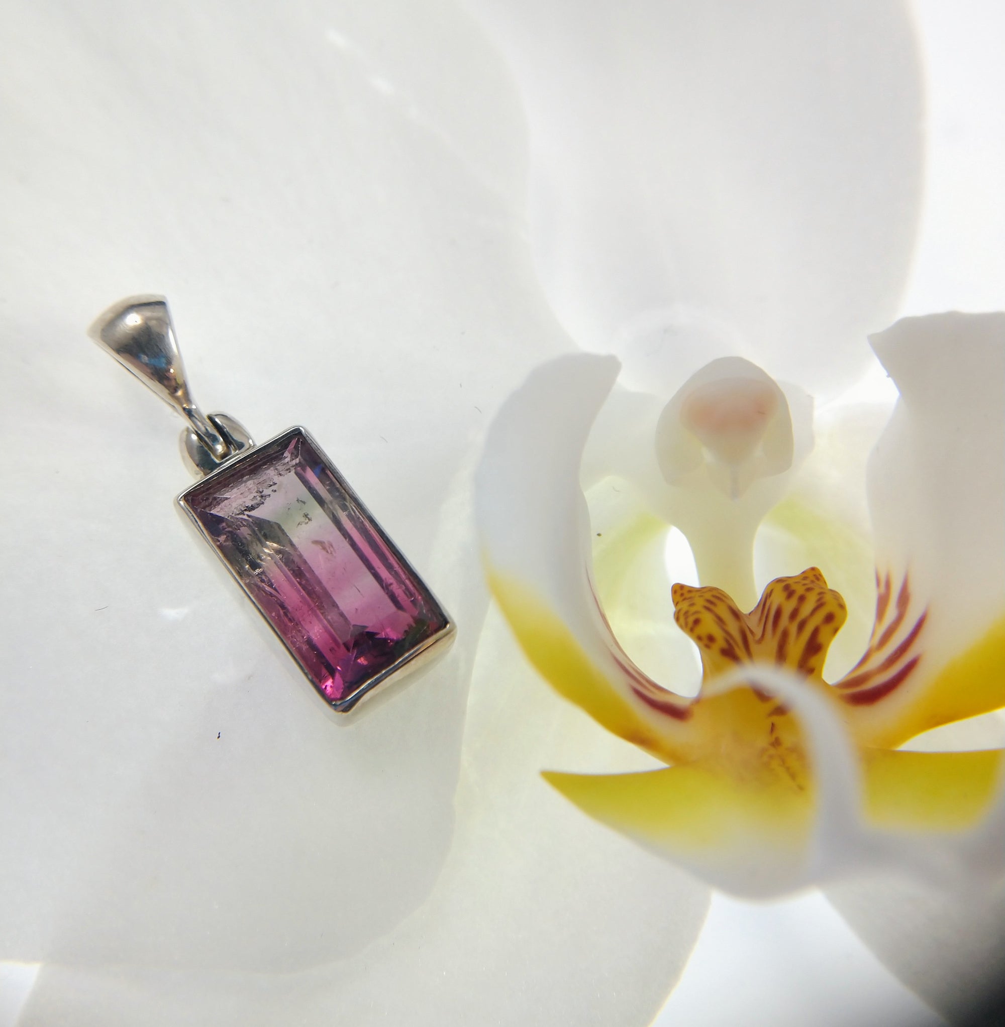 Bi-color Tourmaline Pendant