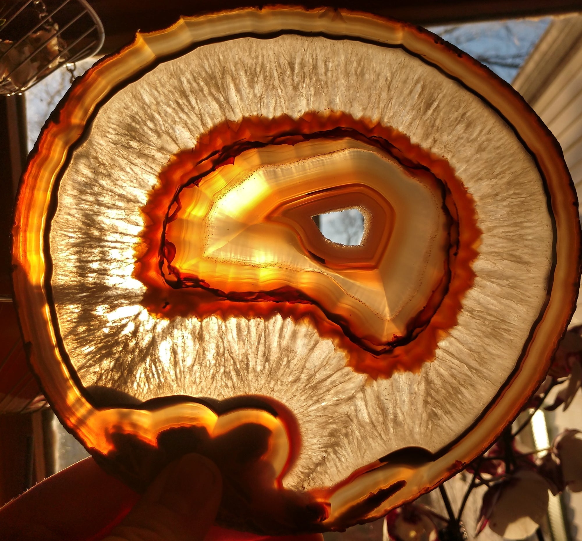 Agate Slice, Brasil