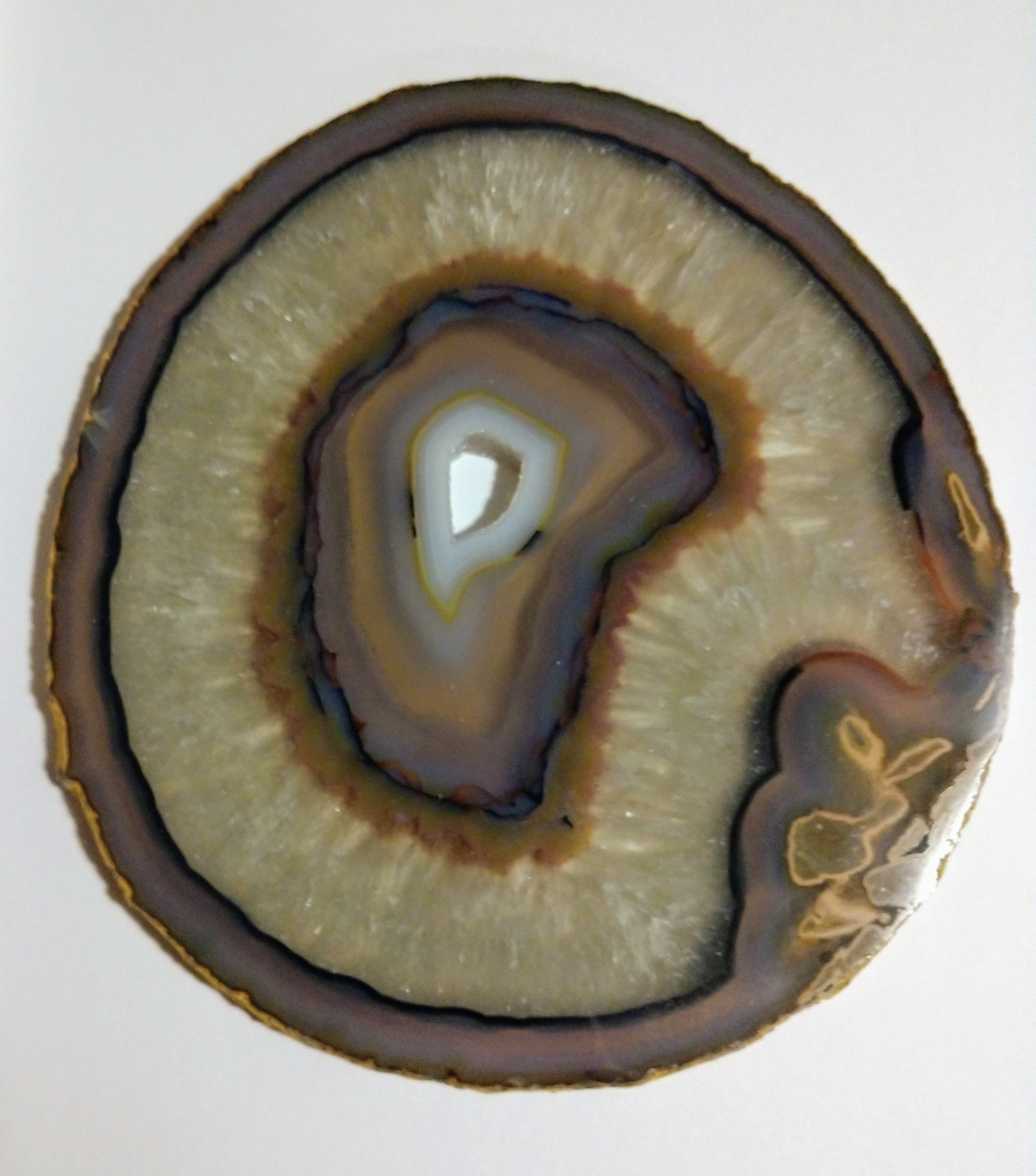 Agate Slice, Brasil