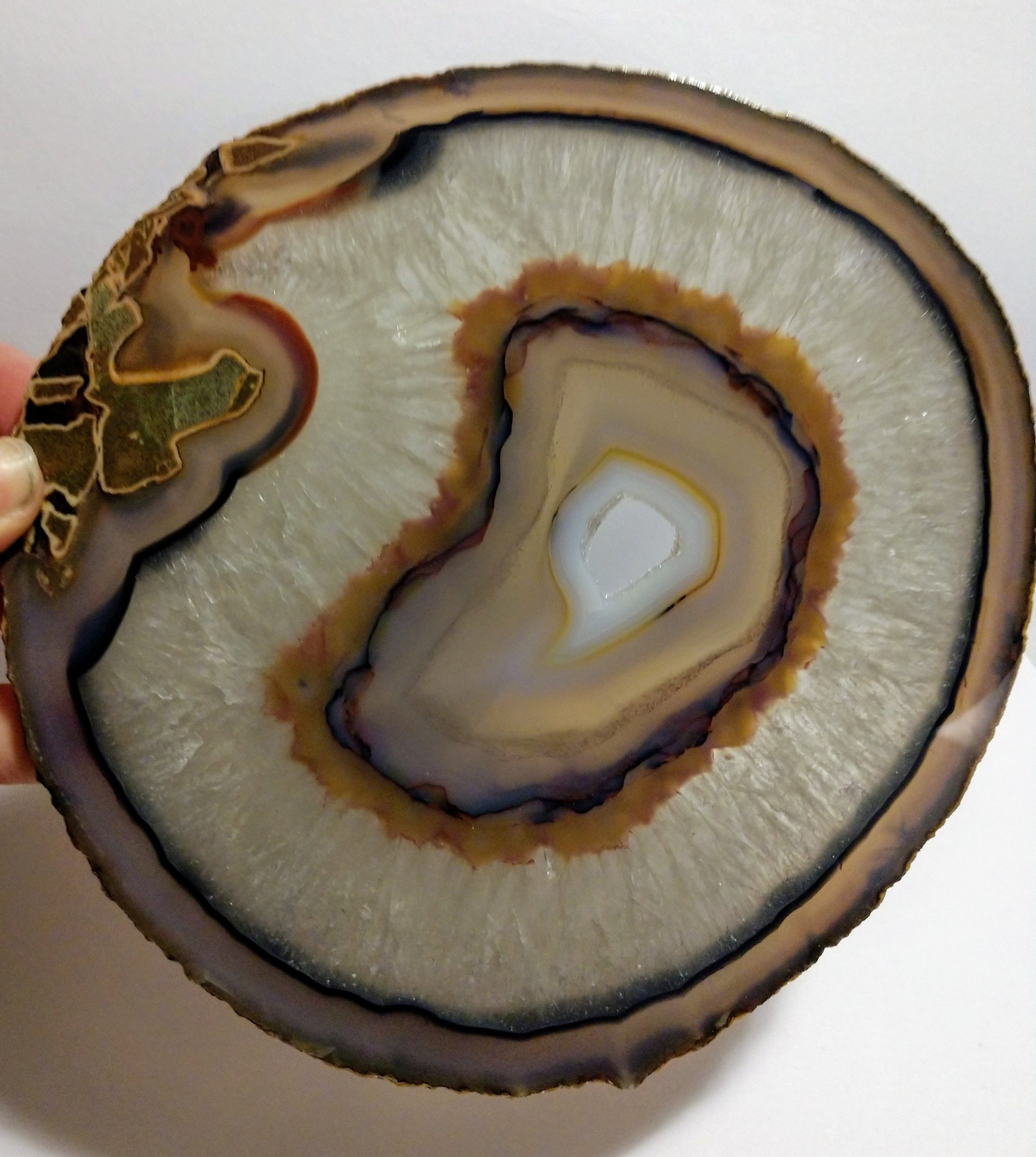 Agate Slice, Brasil