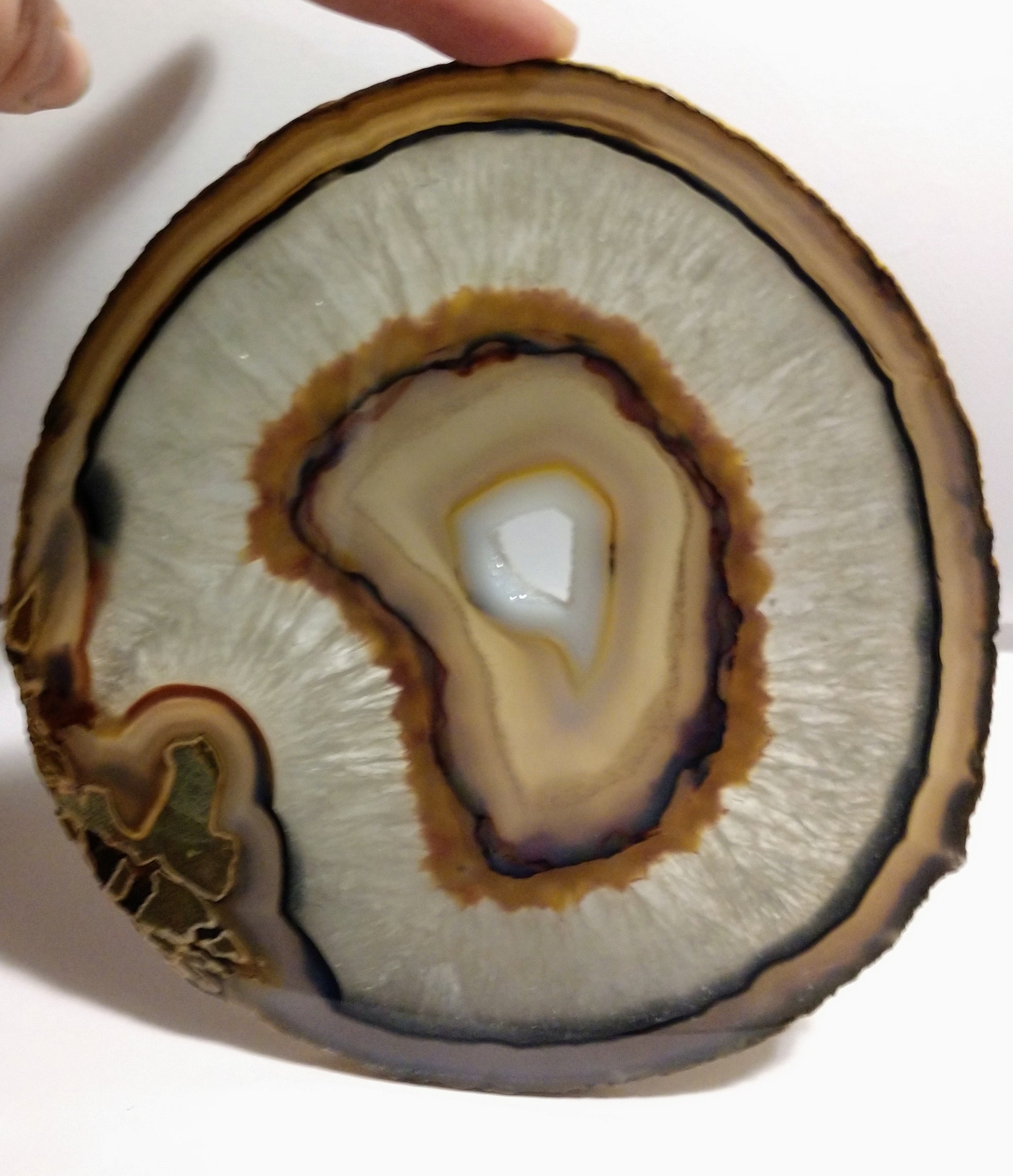 Agate Slice, Brasil