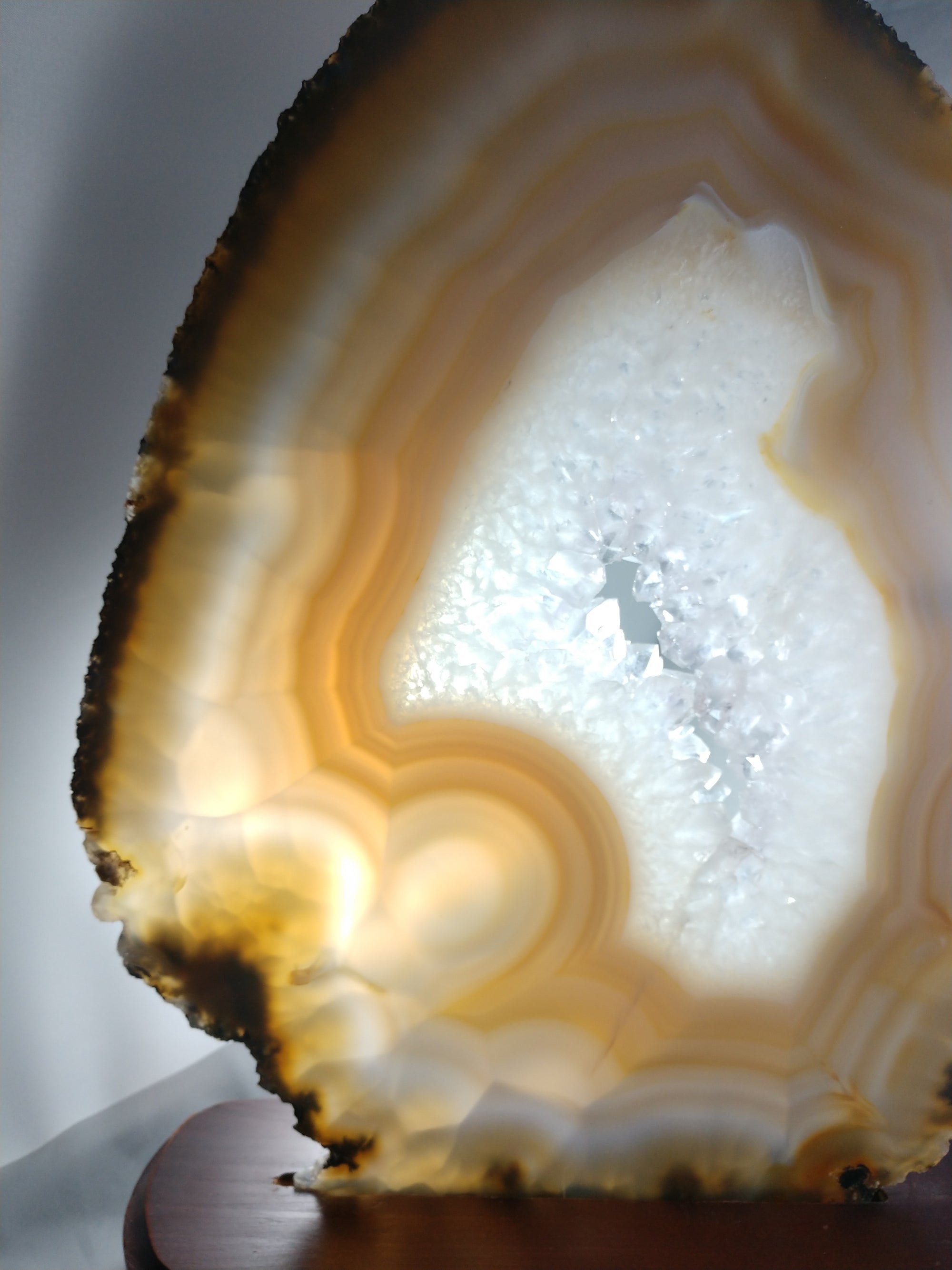 Agate Slice on Custom Wood Stand, Brasil
