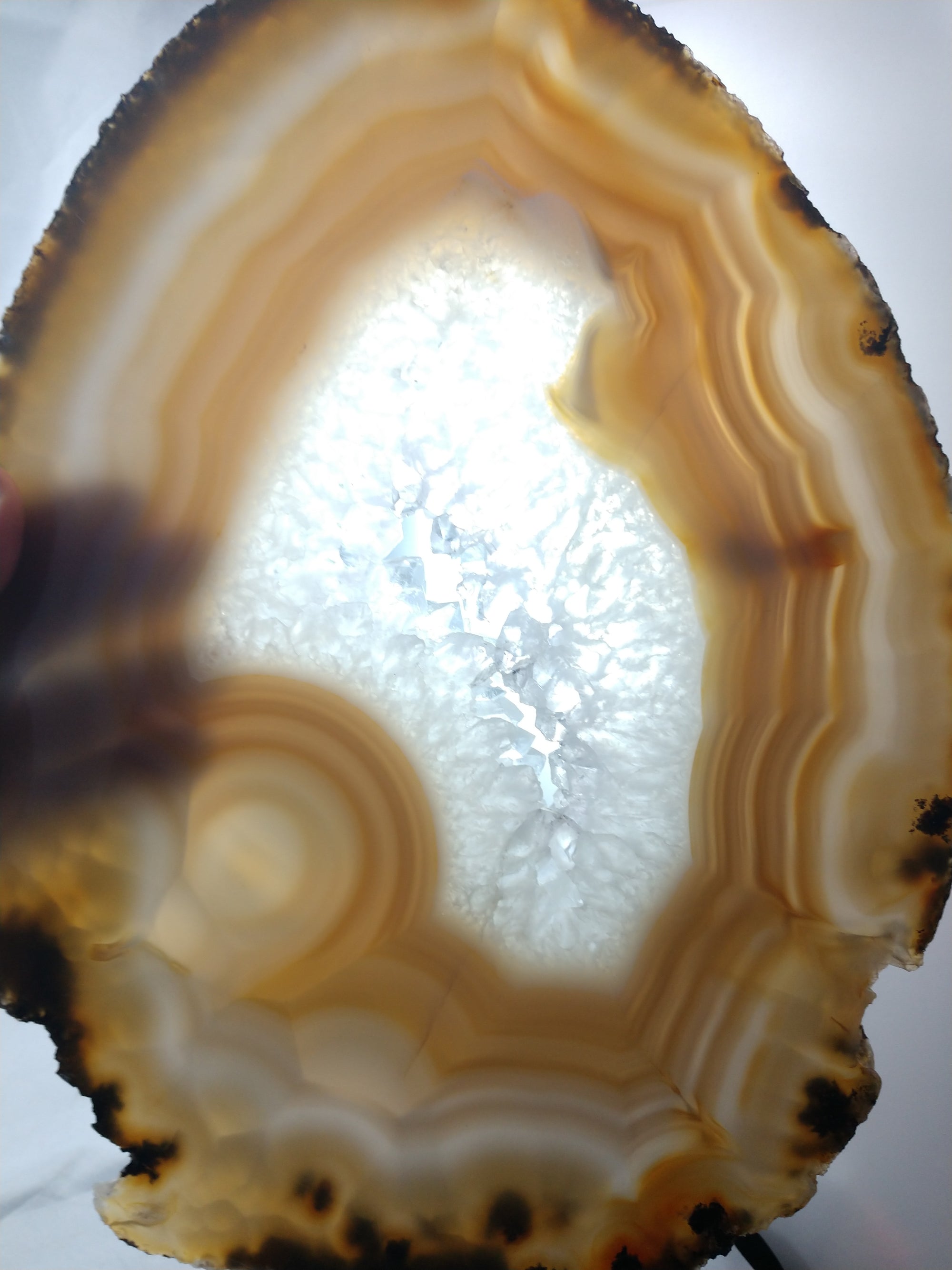 Agate Slice on Custom Wood Stand, Brasil