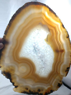 Agate Slice on Custom Wood Stand, Brasil