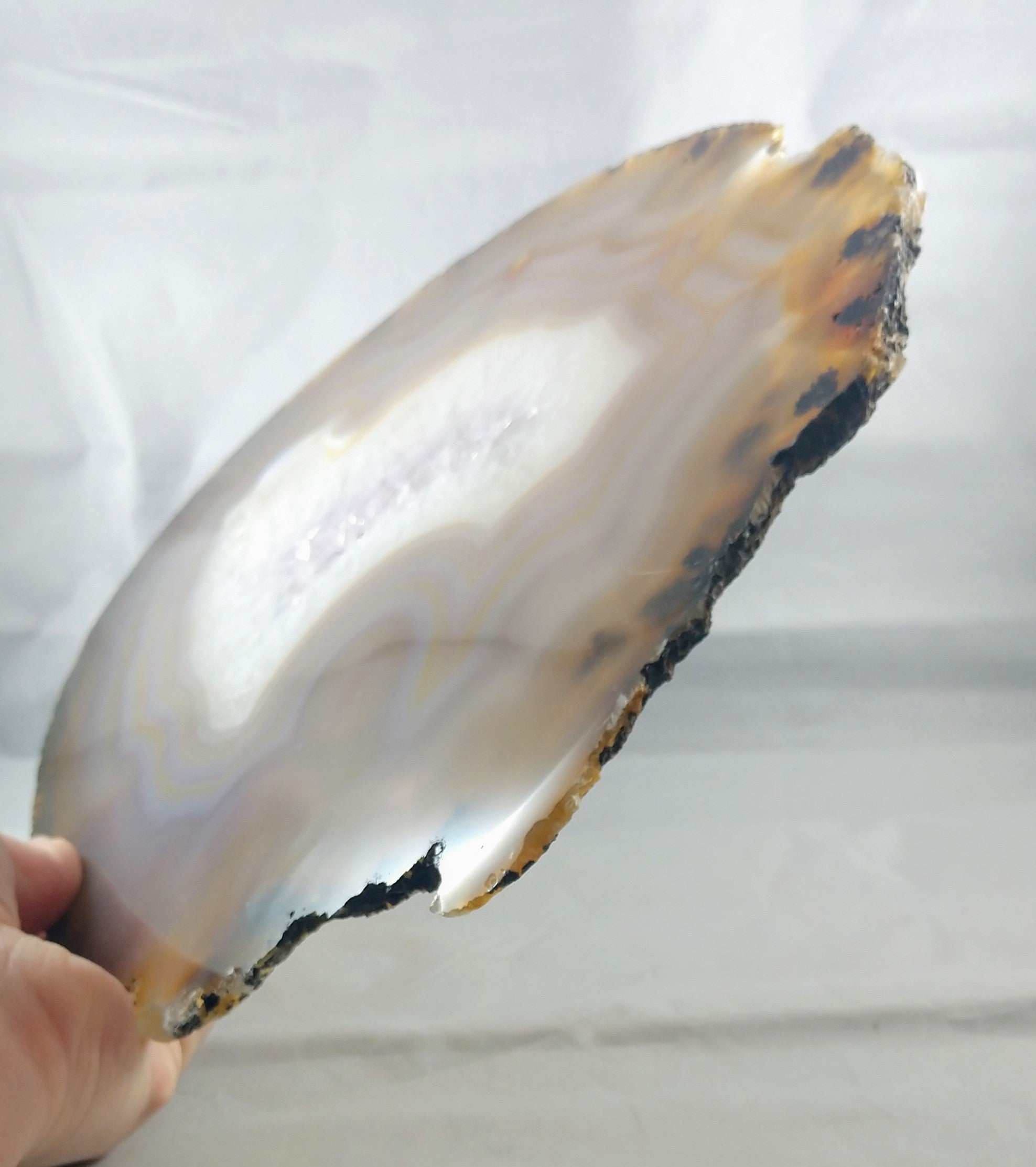 Agate Slice on Custom Wood Stand, Brasil