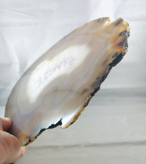 Agate Slice on Custom Wood Stand, Brasil