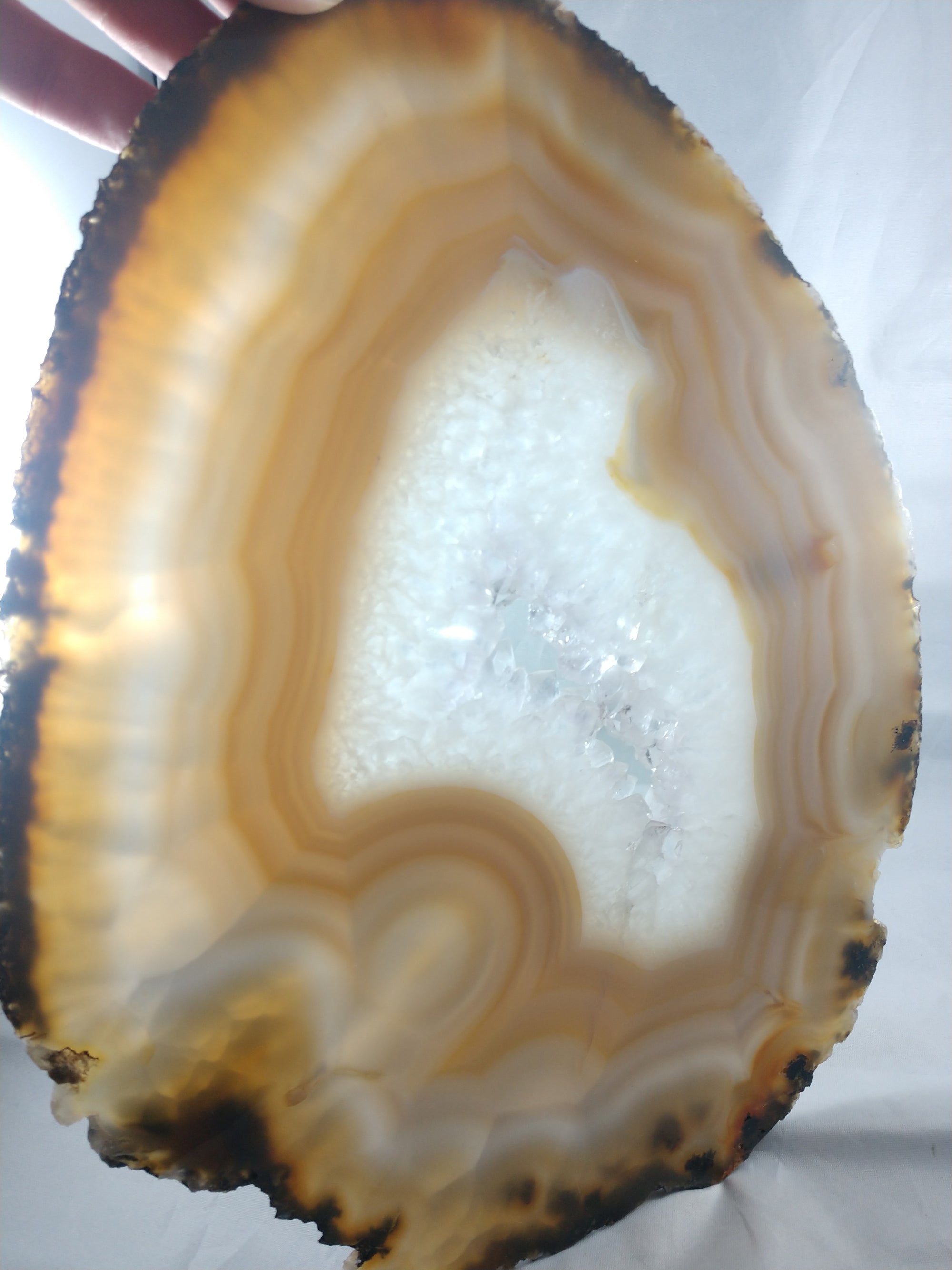 Agate Slice on Custom Wood Stand, Brasil