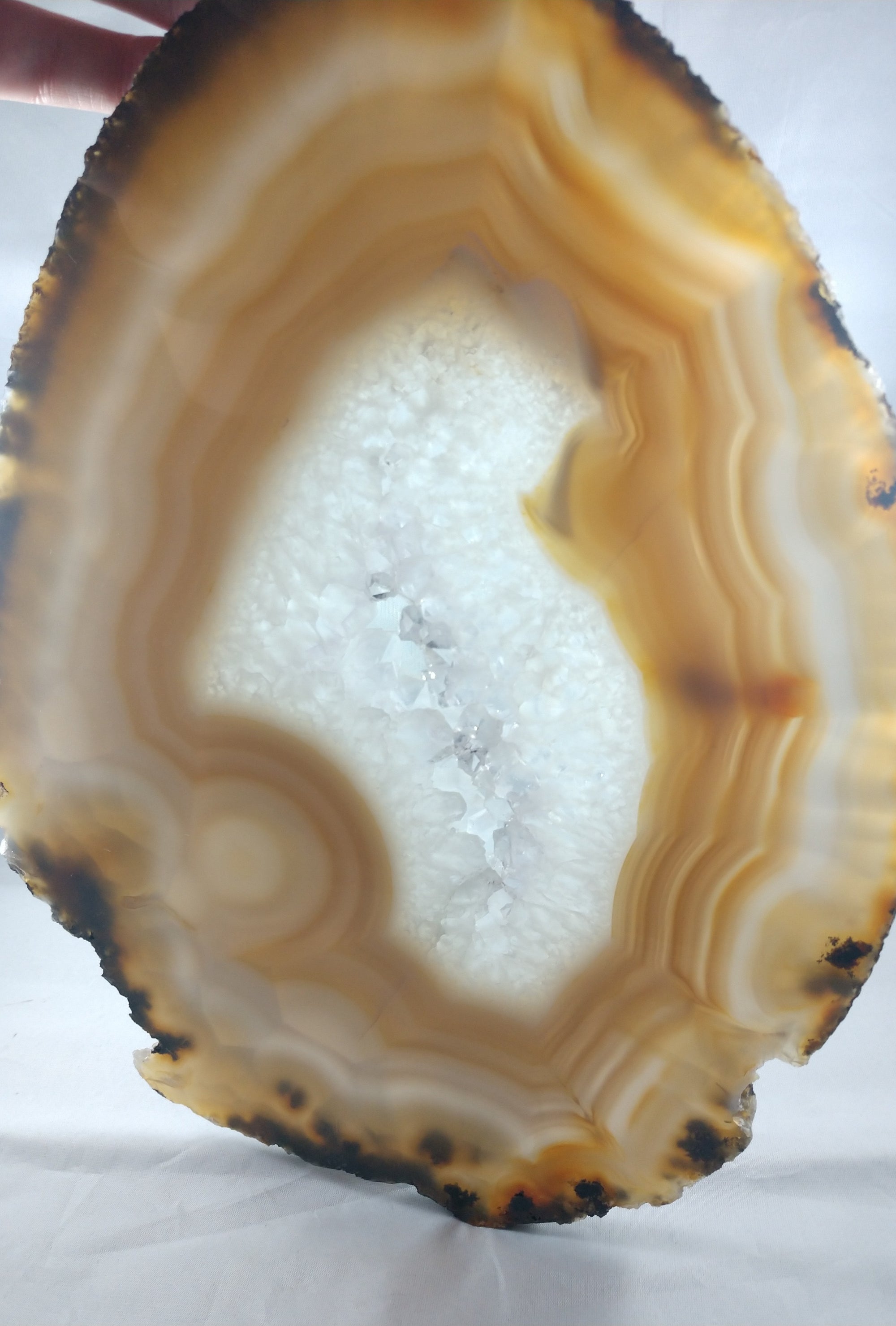 Agate Slice on Custom Wood Stand, Brasil