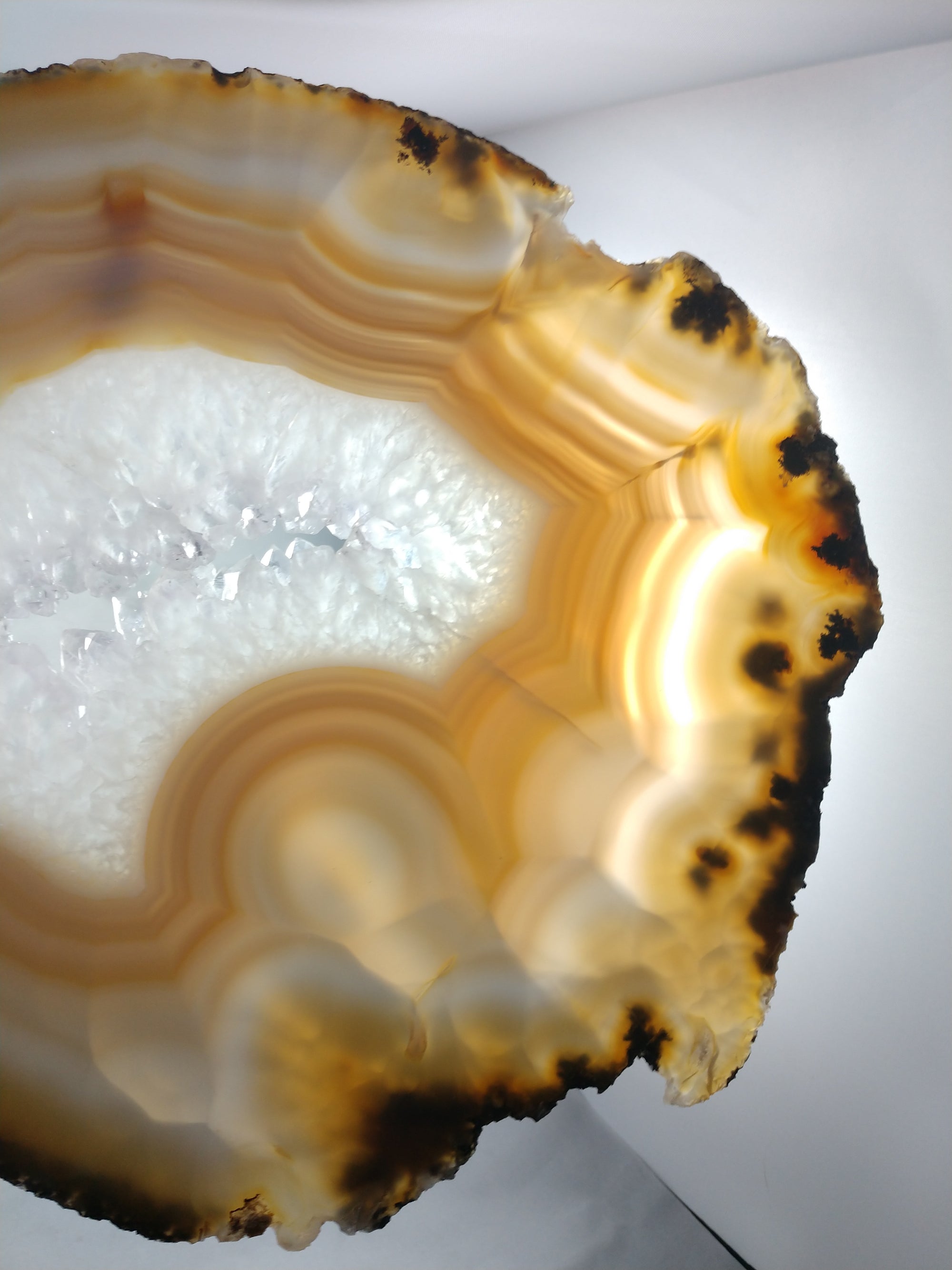 Agate Slice on Custom Wood Stand, Brasil