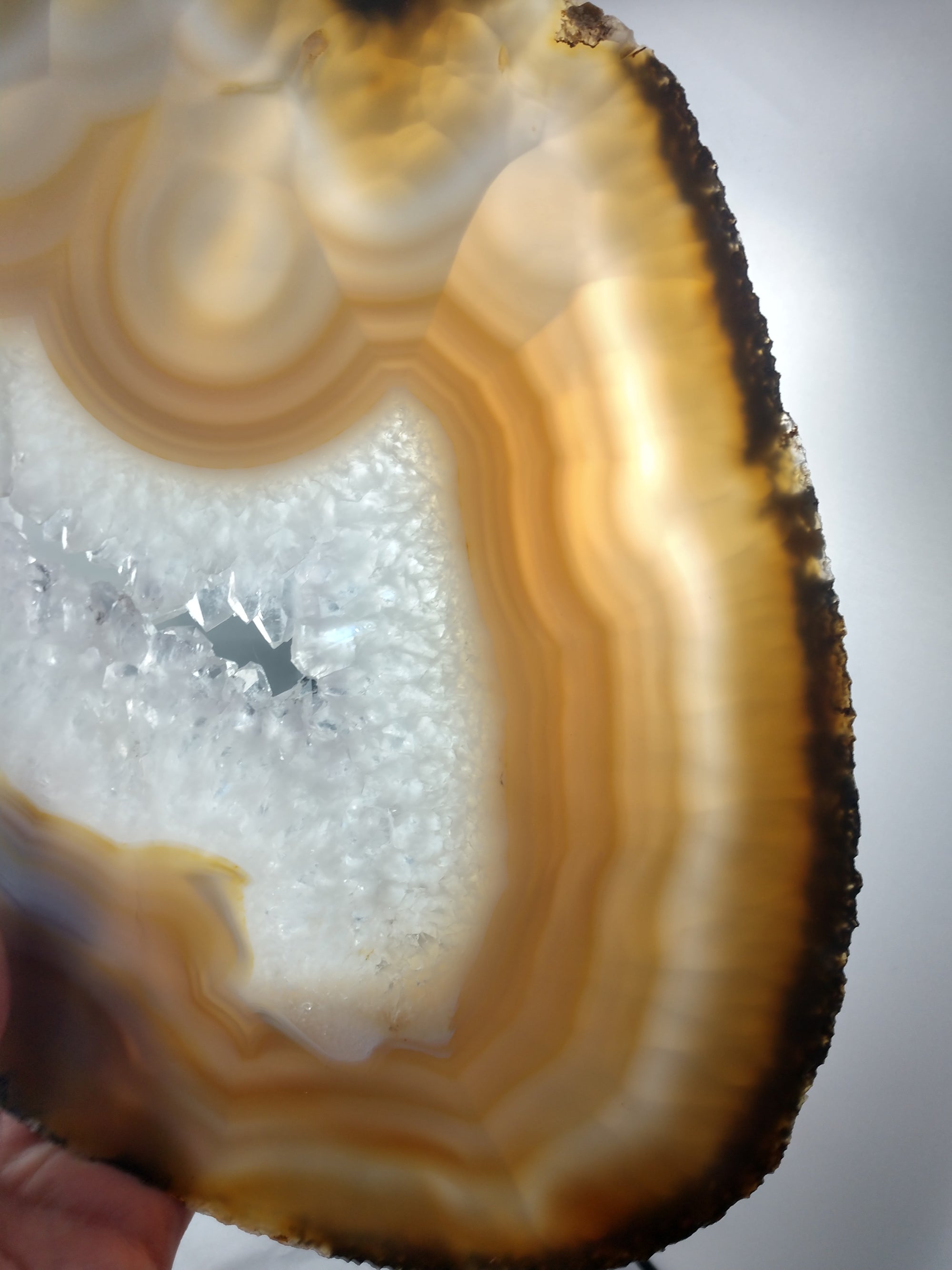 Agate Slice on Custom Wood Stand, Brasil