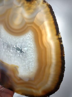 Agate Slice on Custom Wood Stand, Brasil