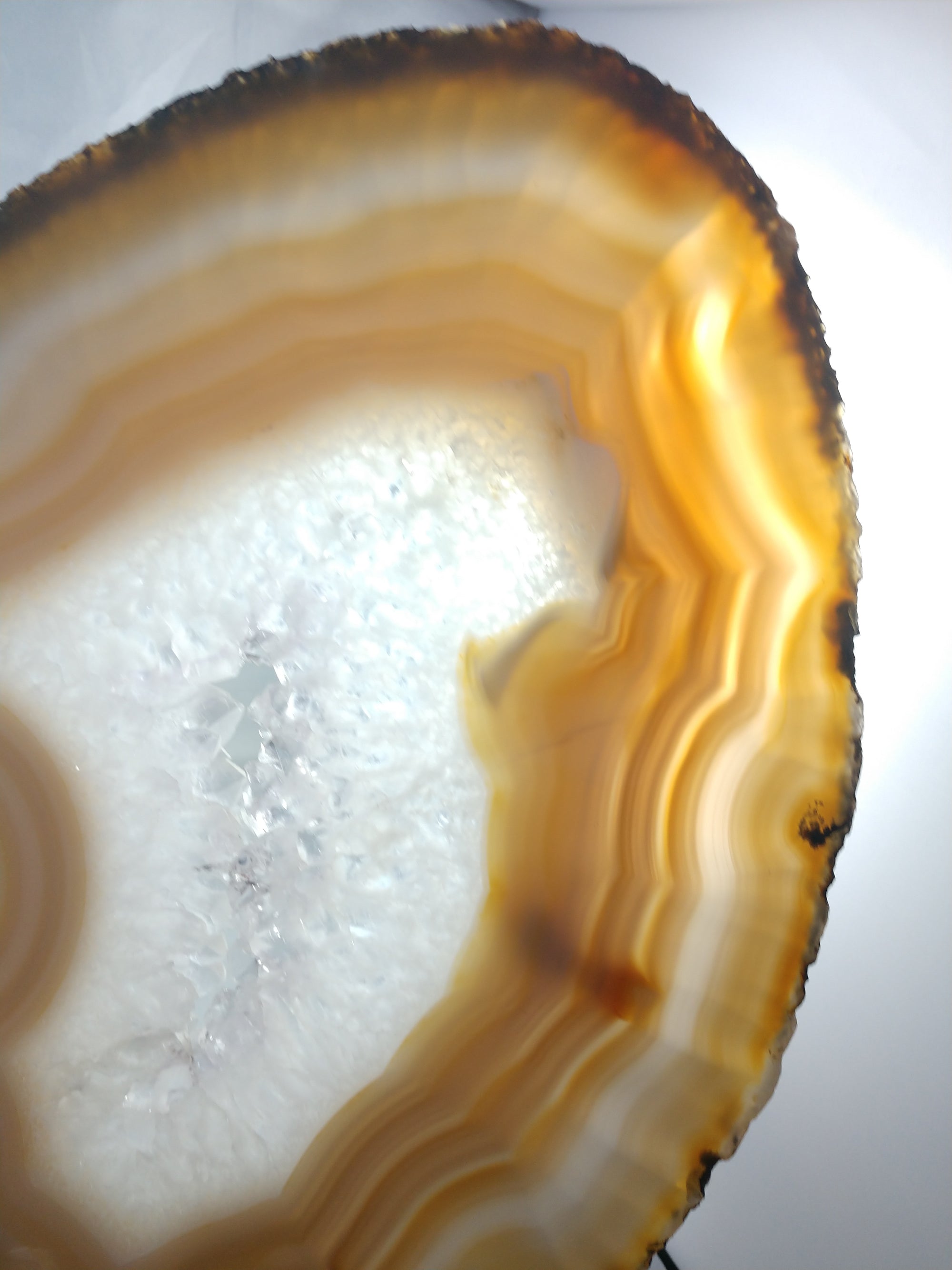 Agate Slice on Custom Wood Stand, Brasil