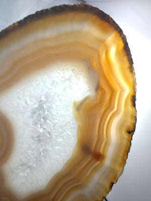Agate Slice on Custom Wood Stand, Brasil