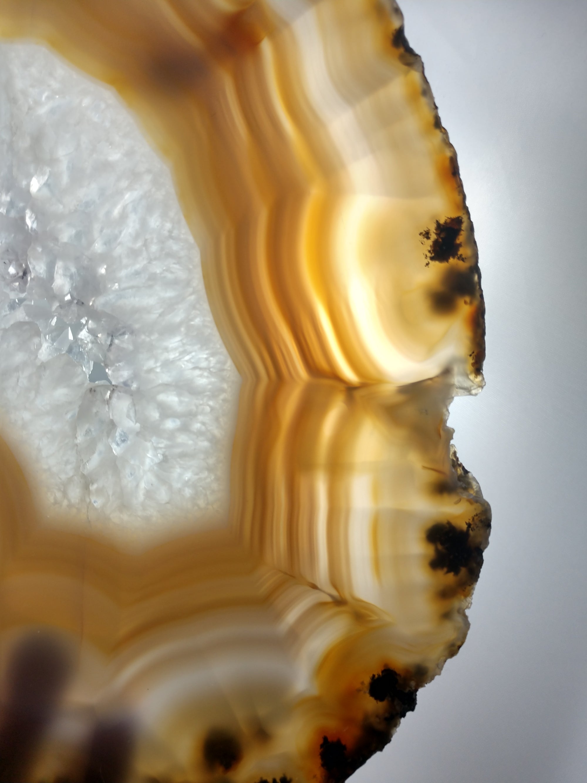 Agate Slice on Custom Wood Stand, Brasil