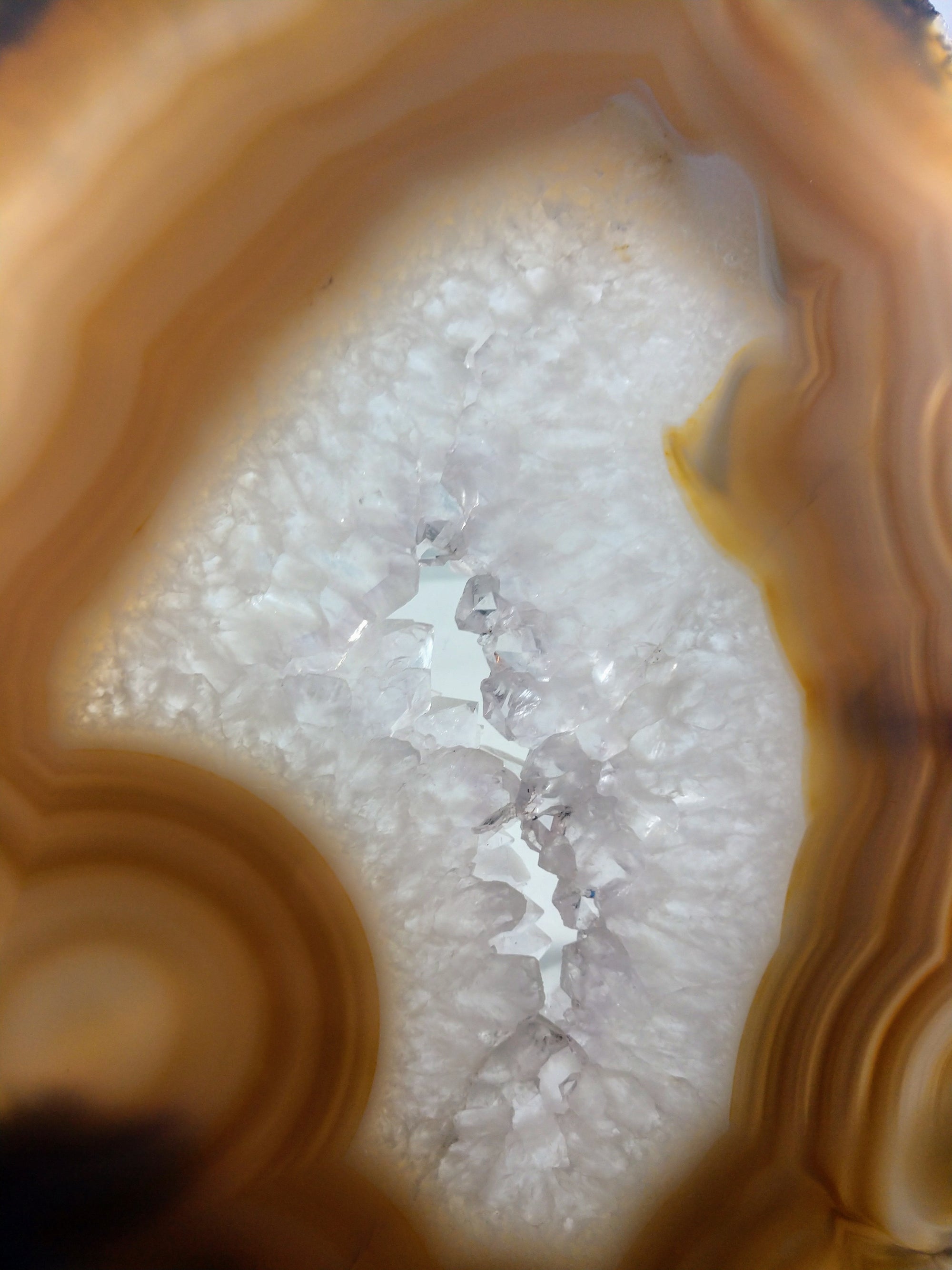 Agate Slice on Custom Wood Stand, Brasil
