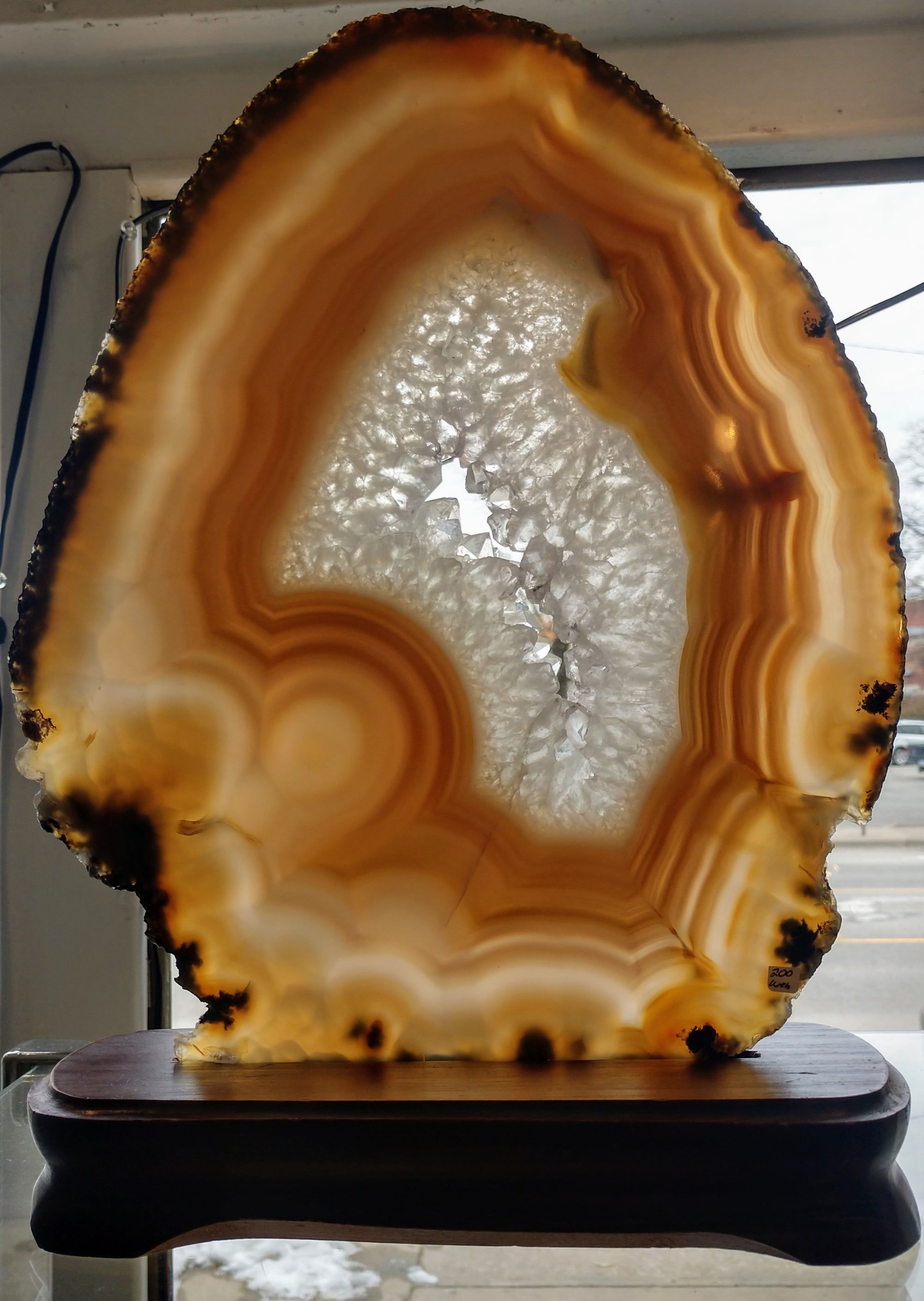 Agate Slice on Custom Wood Stand, Brasil