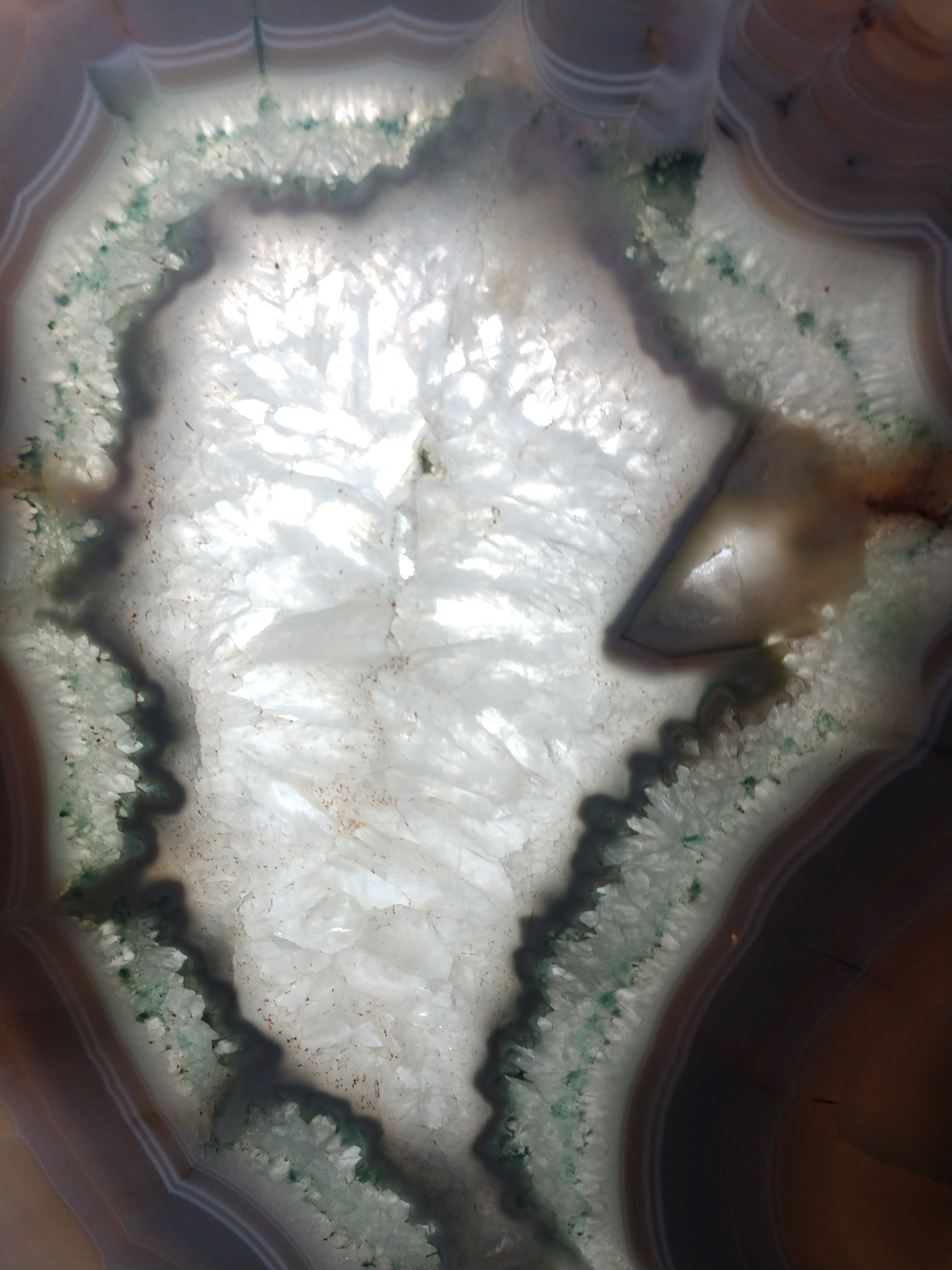 Agate Slice on Custom Wood Stand, Brasil
