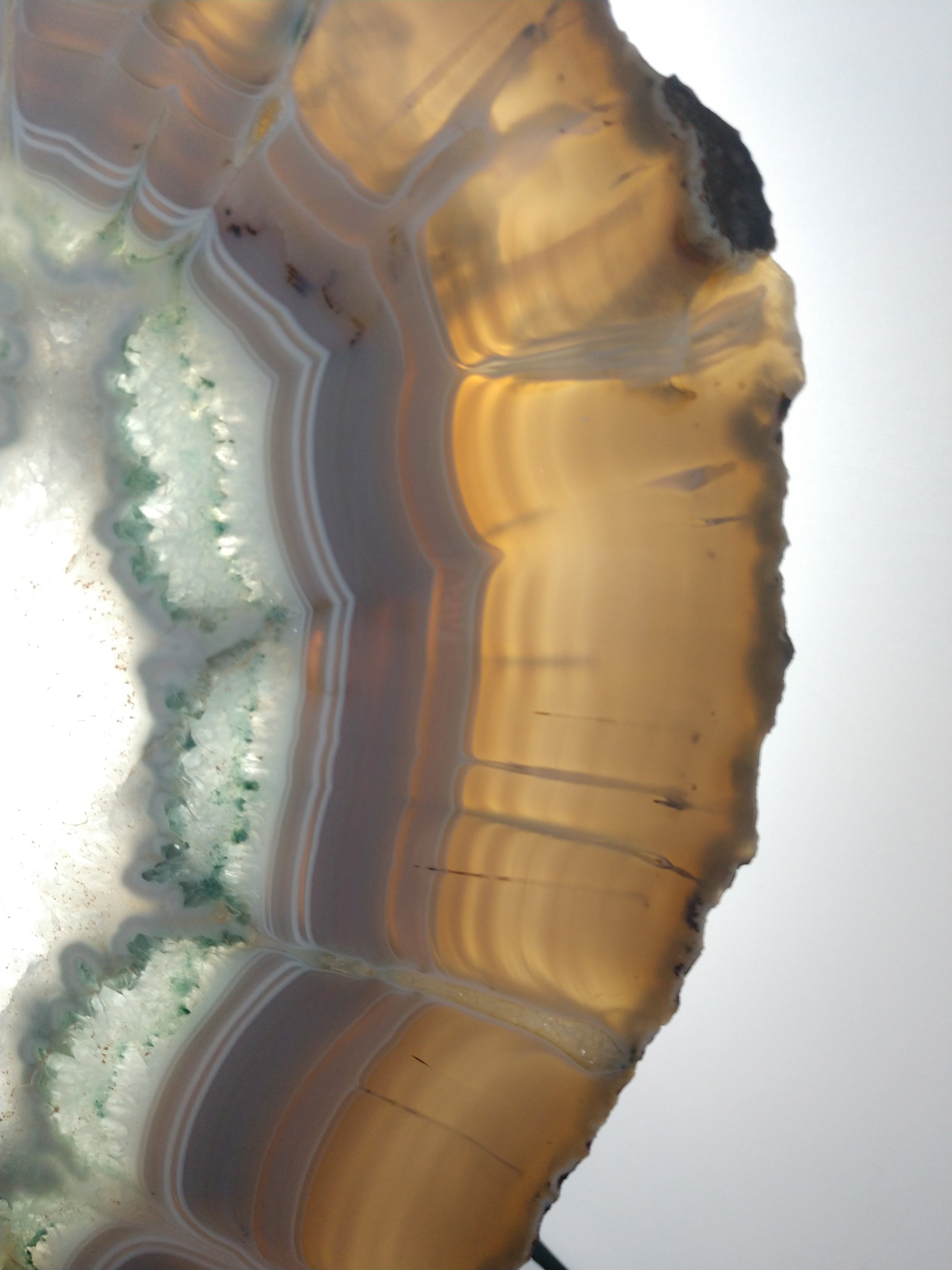 Agate Slice on Custom Wood Stand, Brasil