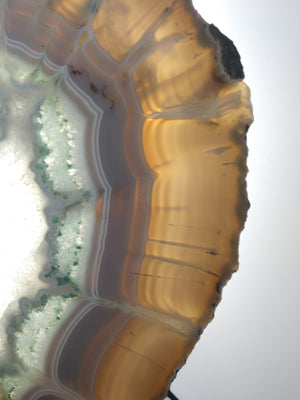 Agate Slice on Custom Wood Stand, Brasil