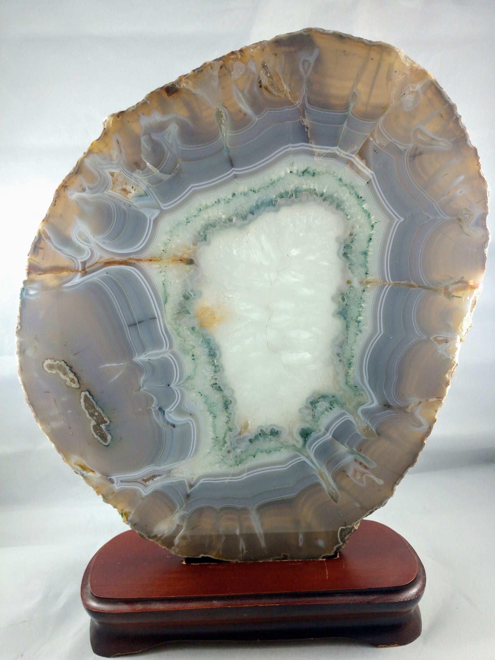 Agate Slice on Custom Wood Stand, Brasil
