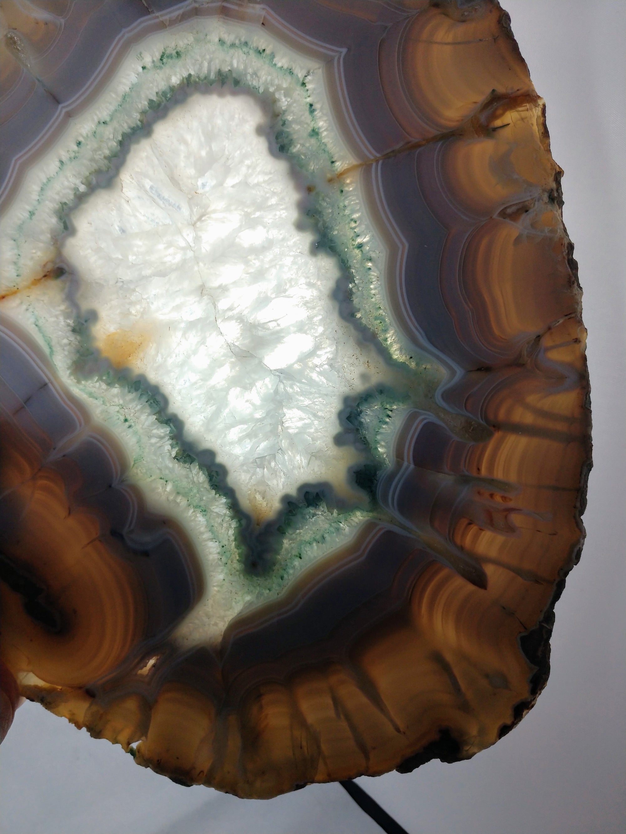 Agate Slice on Custom Wood Stand, Brasil