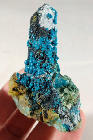 Chrysocolla over Quartz from Peru