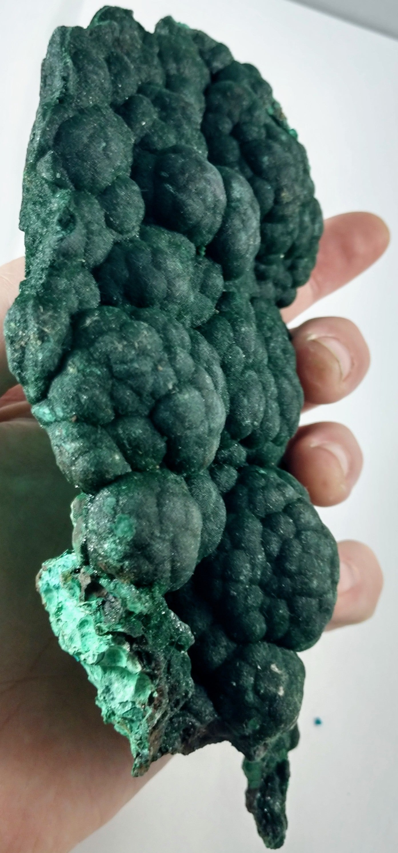 Botryodial Malachite, DRC