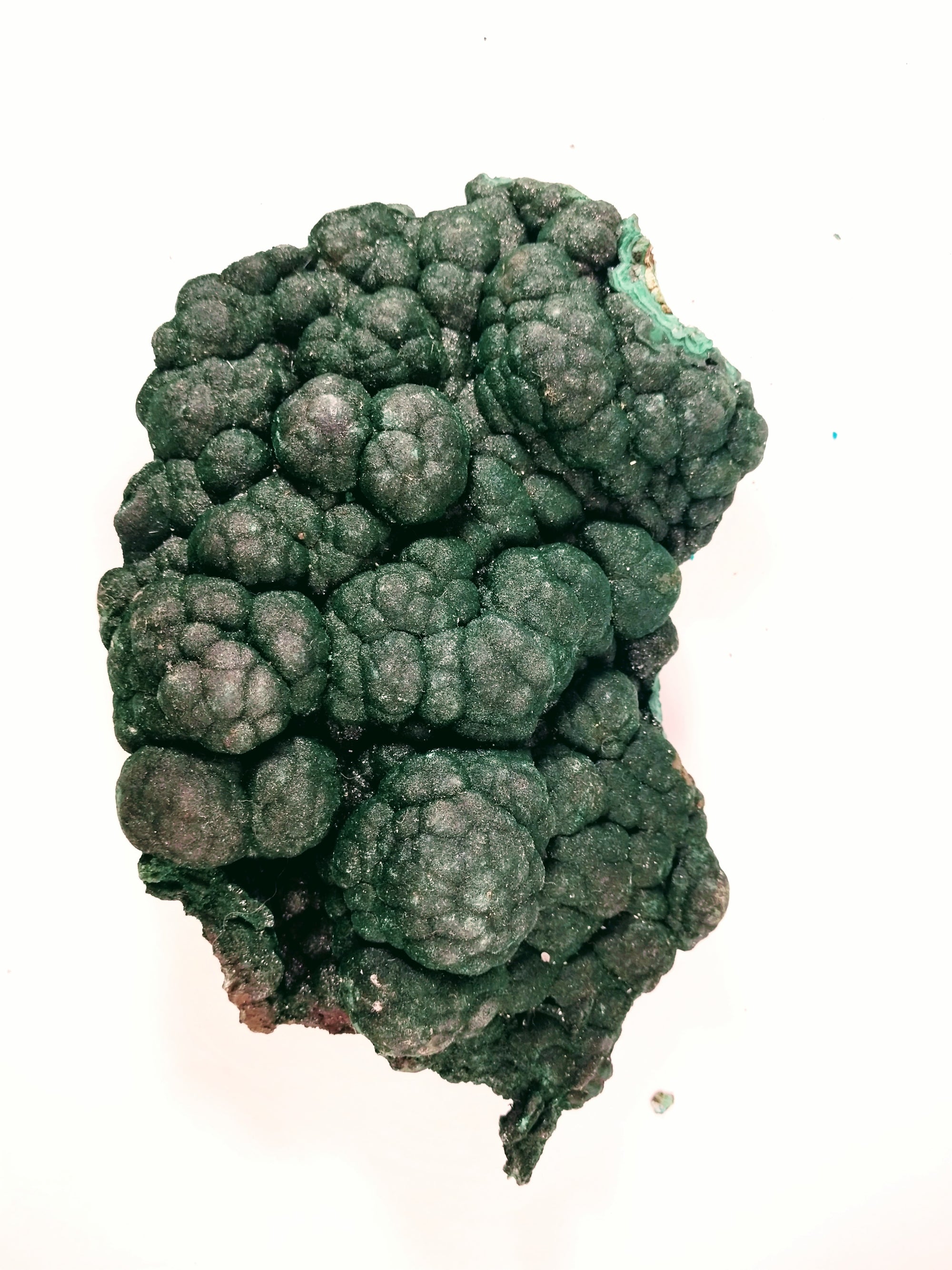 Botryodial Malachite, DRC