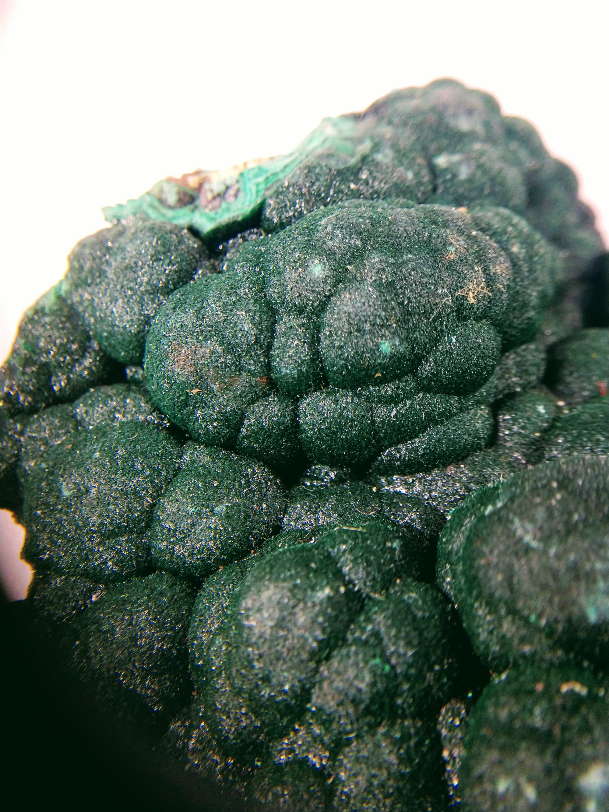 Botryodial Malachite, DRC