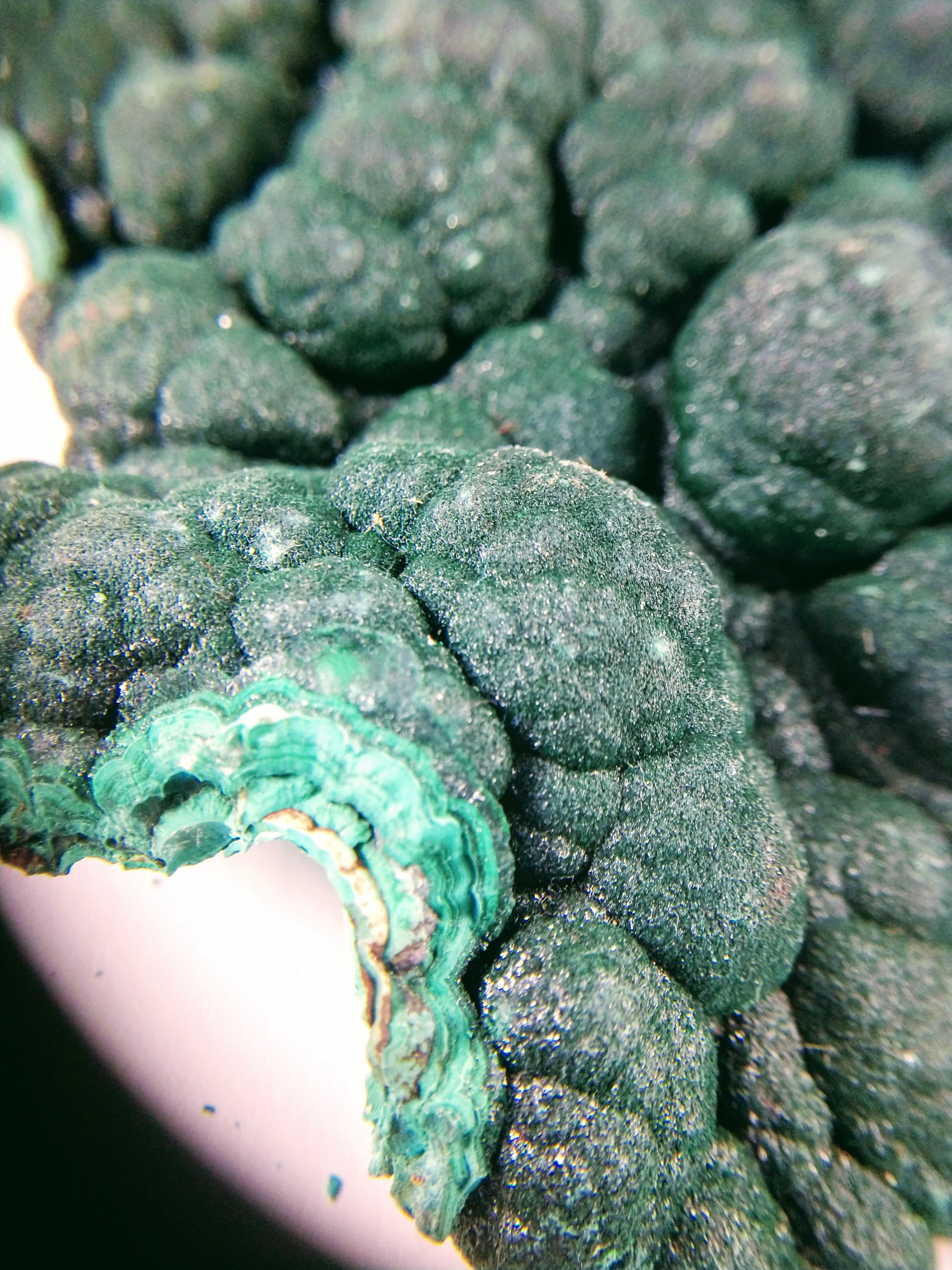 Botryodial Malachite, DRC