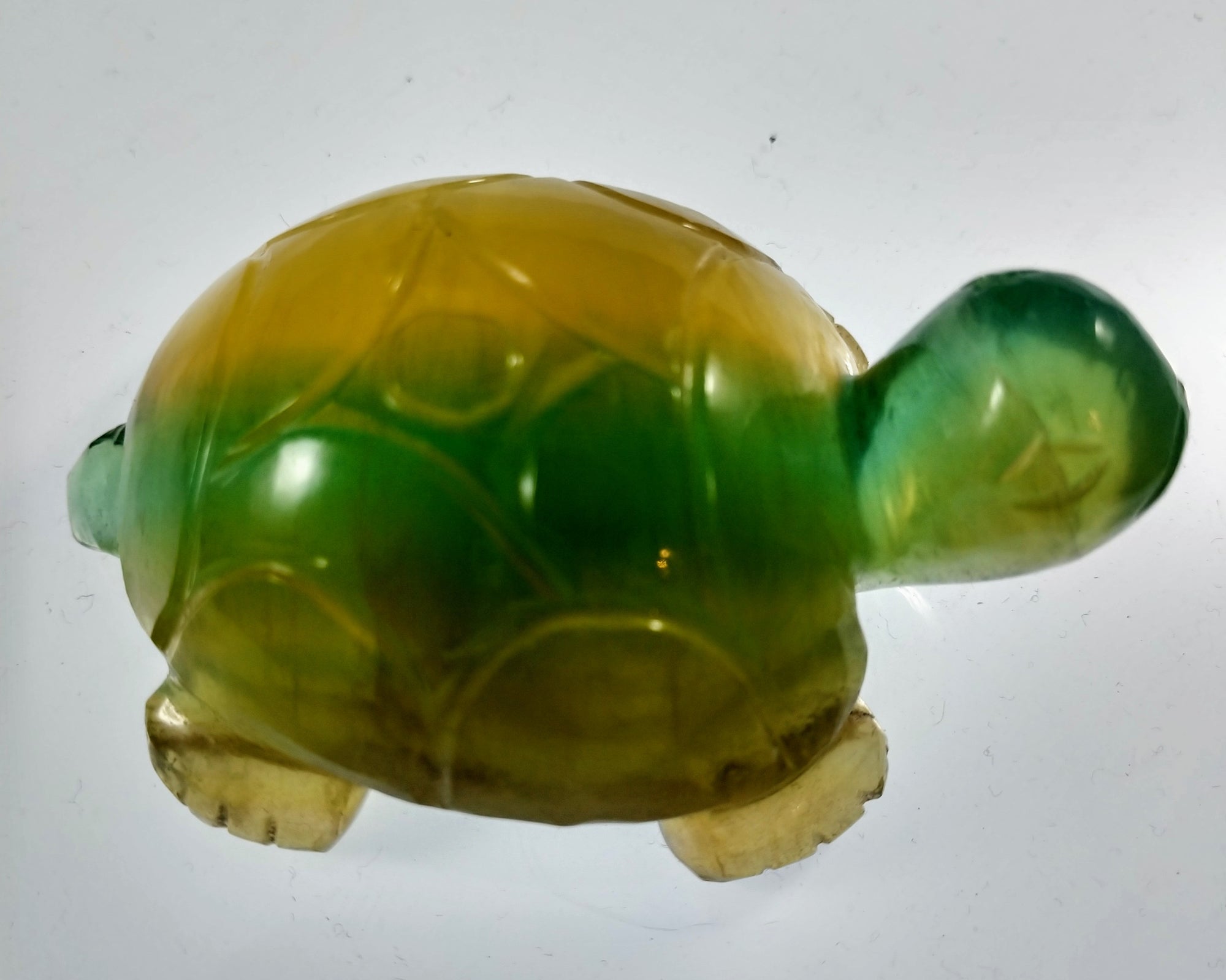Fluorite Turtle