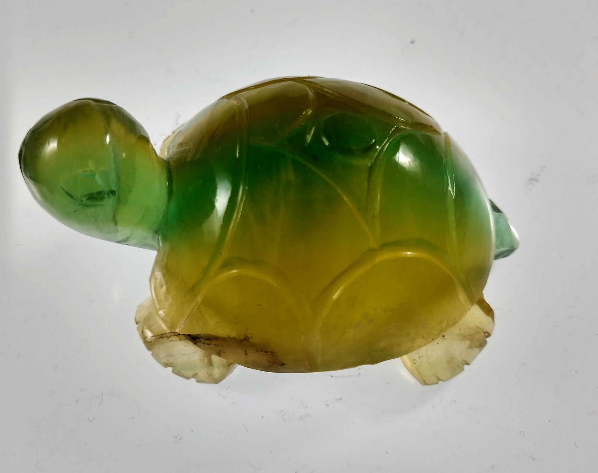 Fluorite Turtle