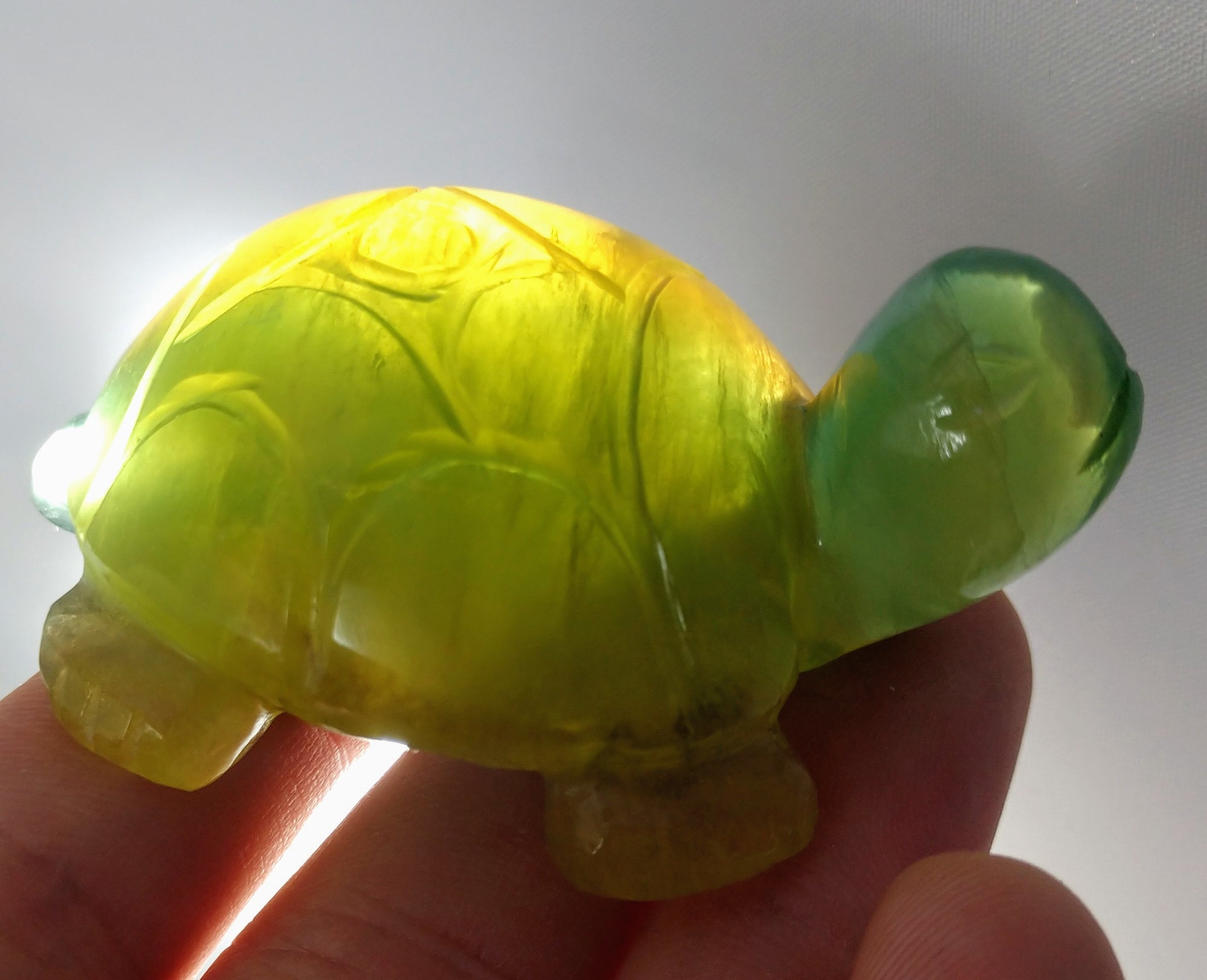 Fluorite Turtle