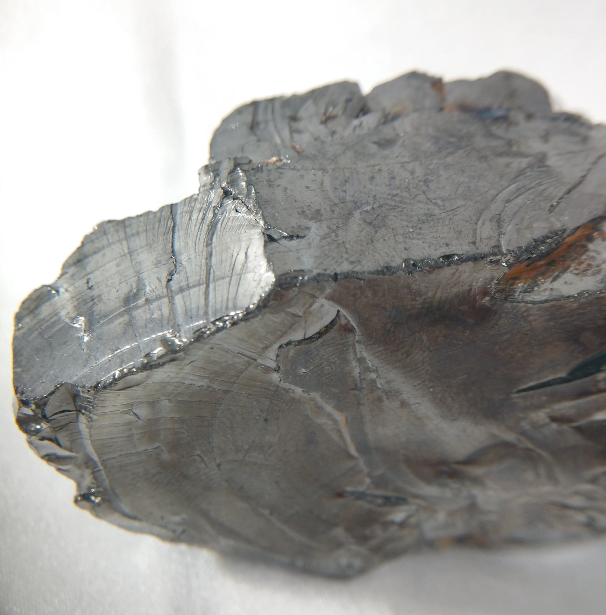 Silver Shungite